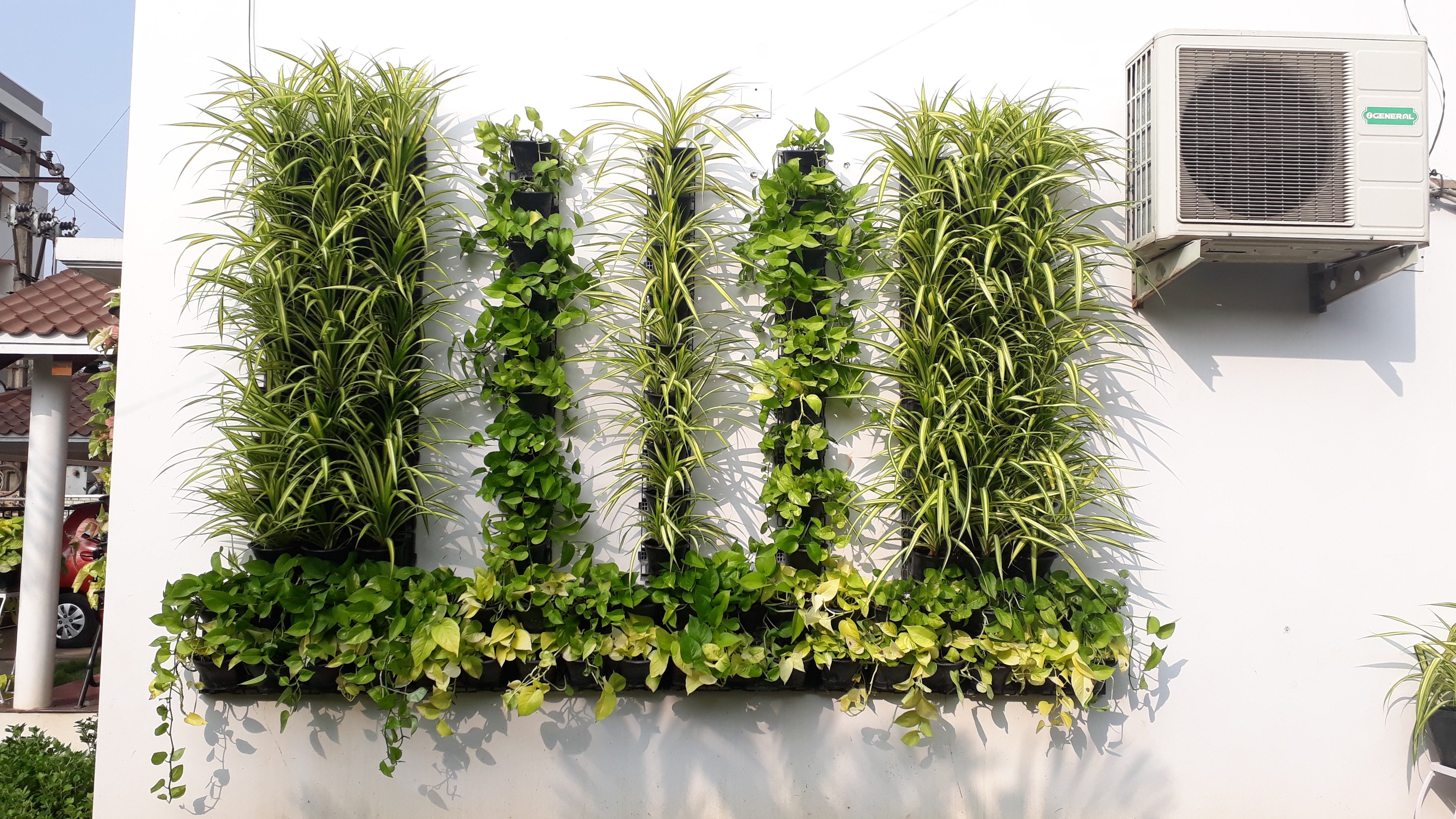 VGC Landscape Project 6