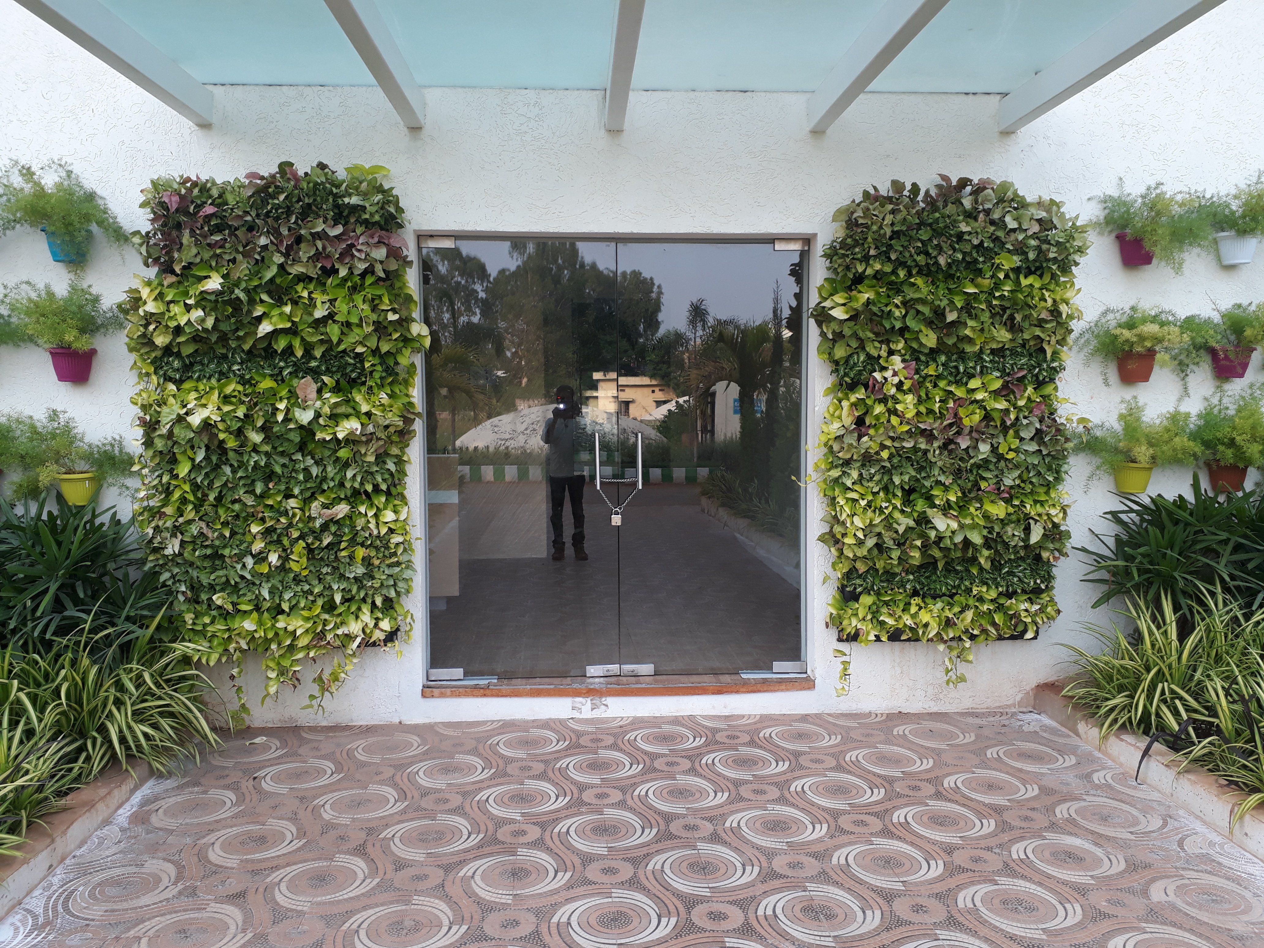 VGC Landscape Project 9