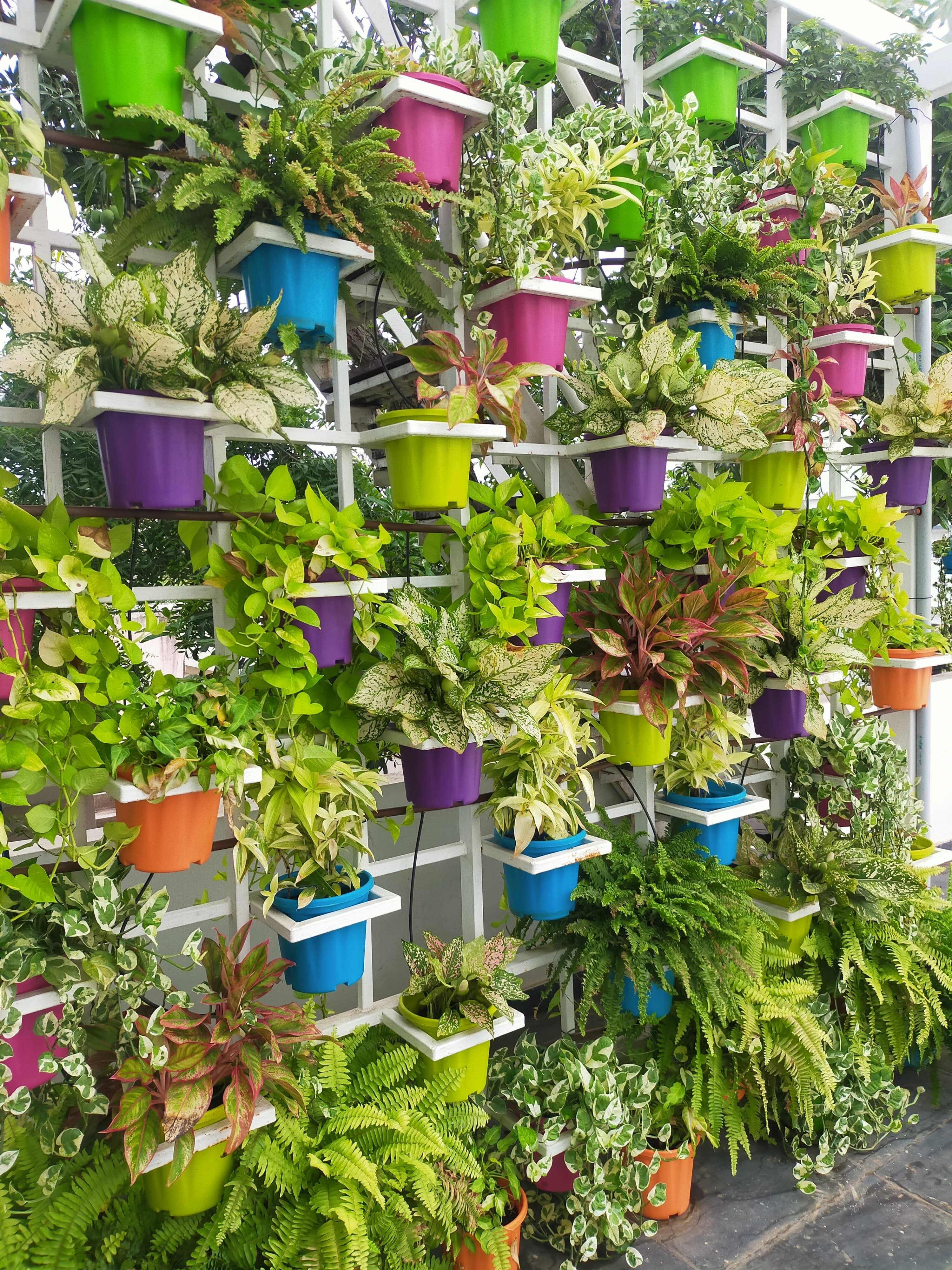 VGC Landscape Project 13