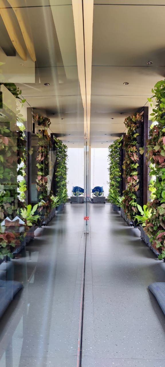 VGC Landscape Project 14