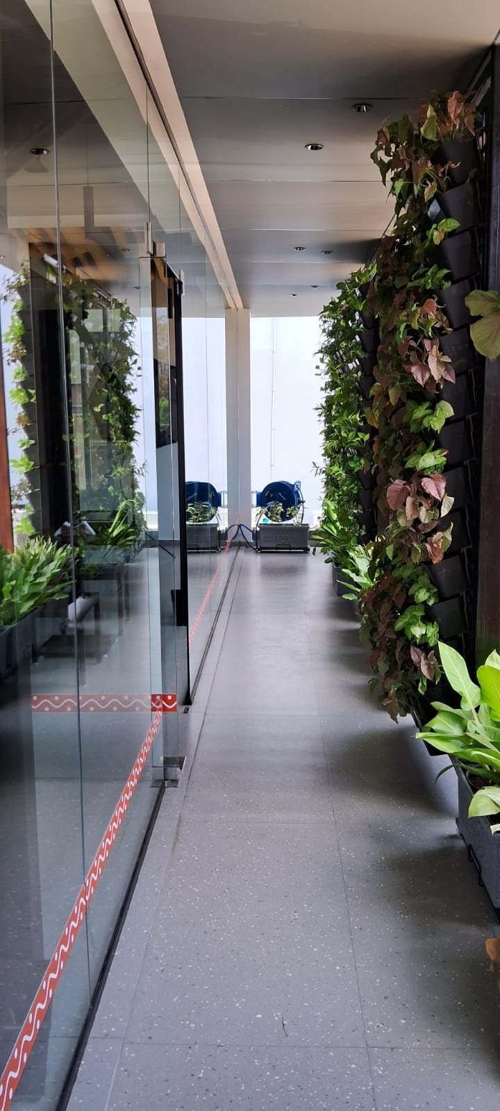 VGC Landscape Project 15