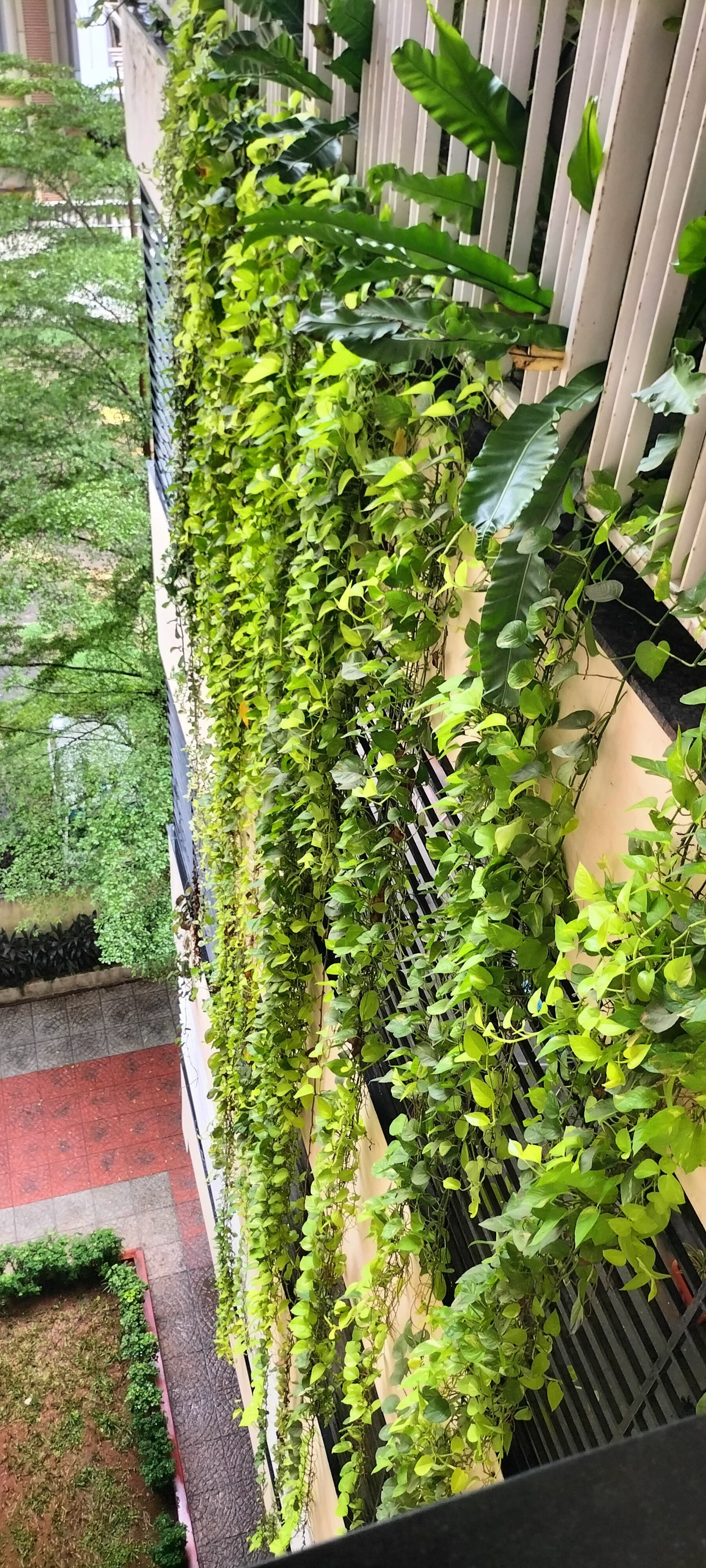 VGC Landscape Project 17