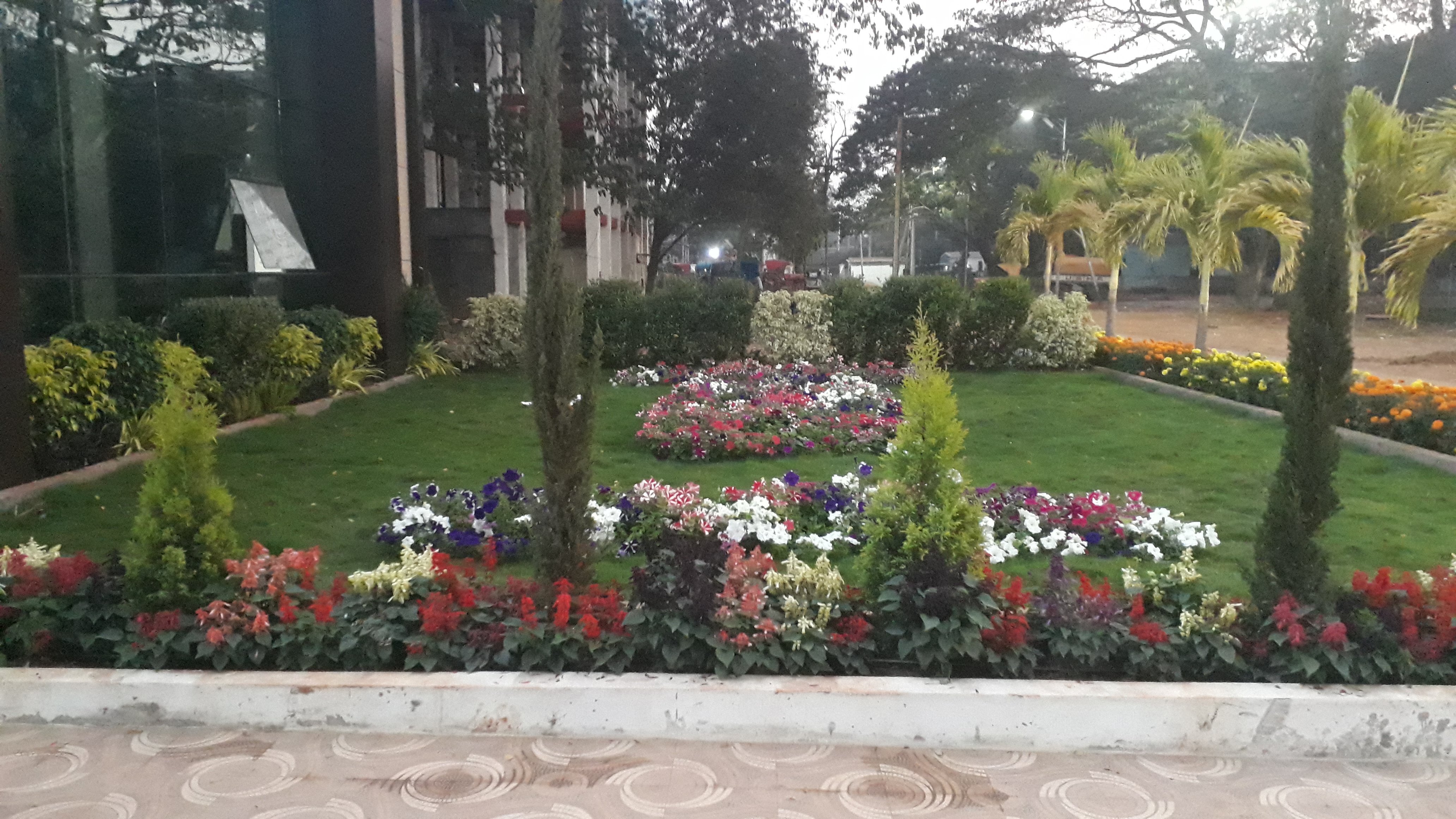 VGC Landscape Project 20