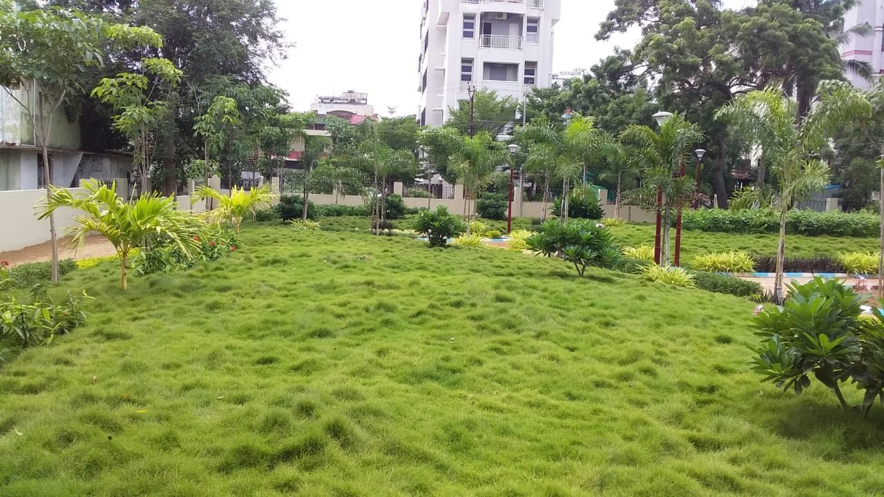 VGC Landscape Project 29