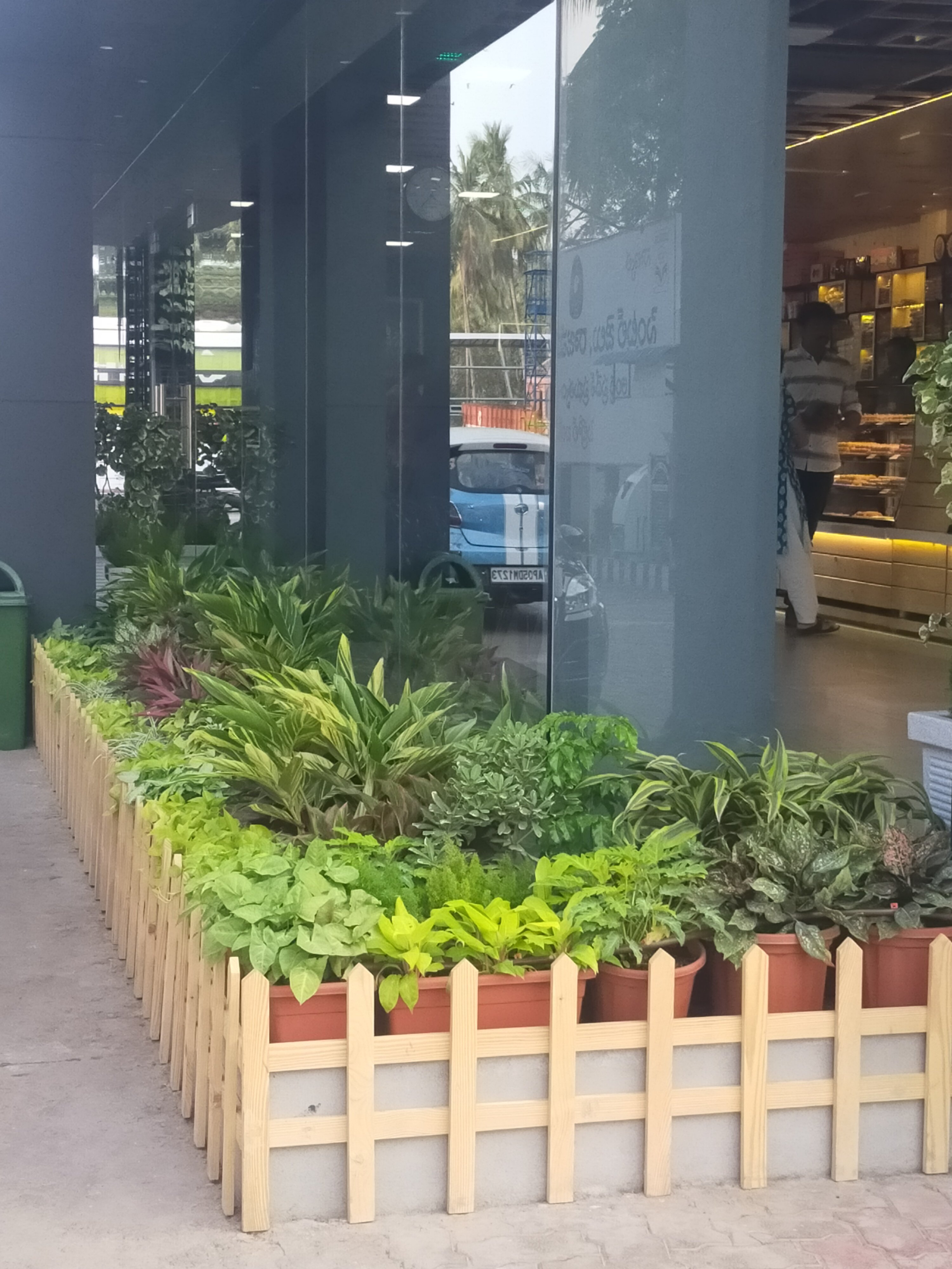 VGC Landscape Project 45