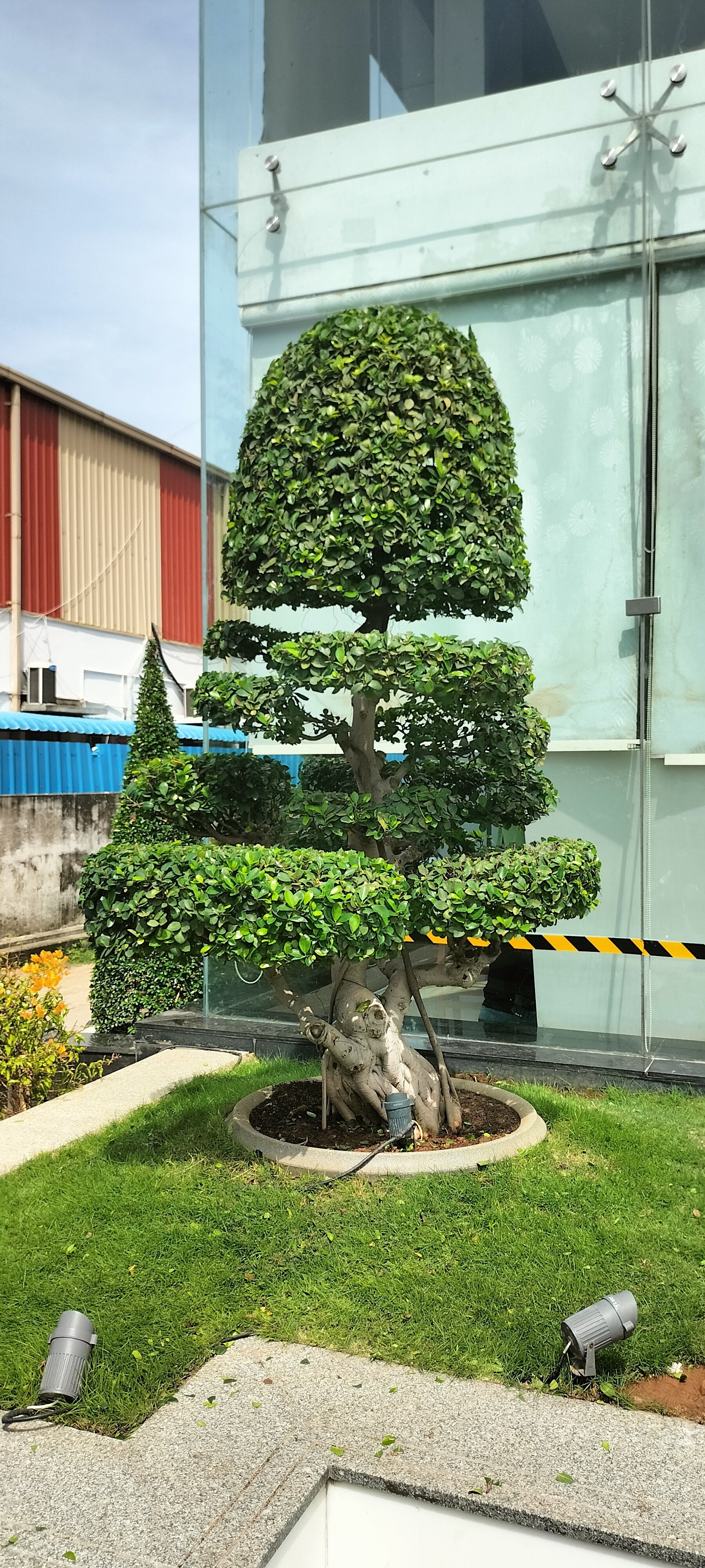 VGC Landscape Project 50