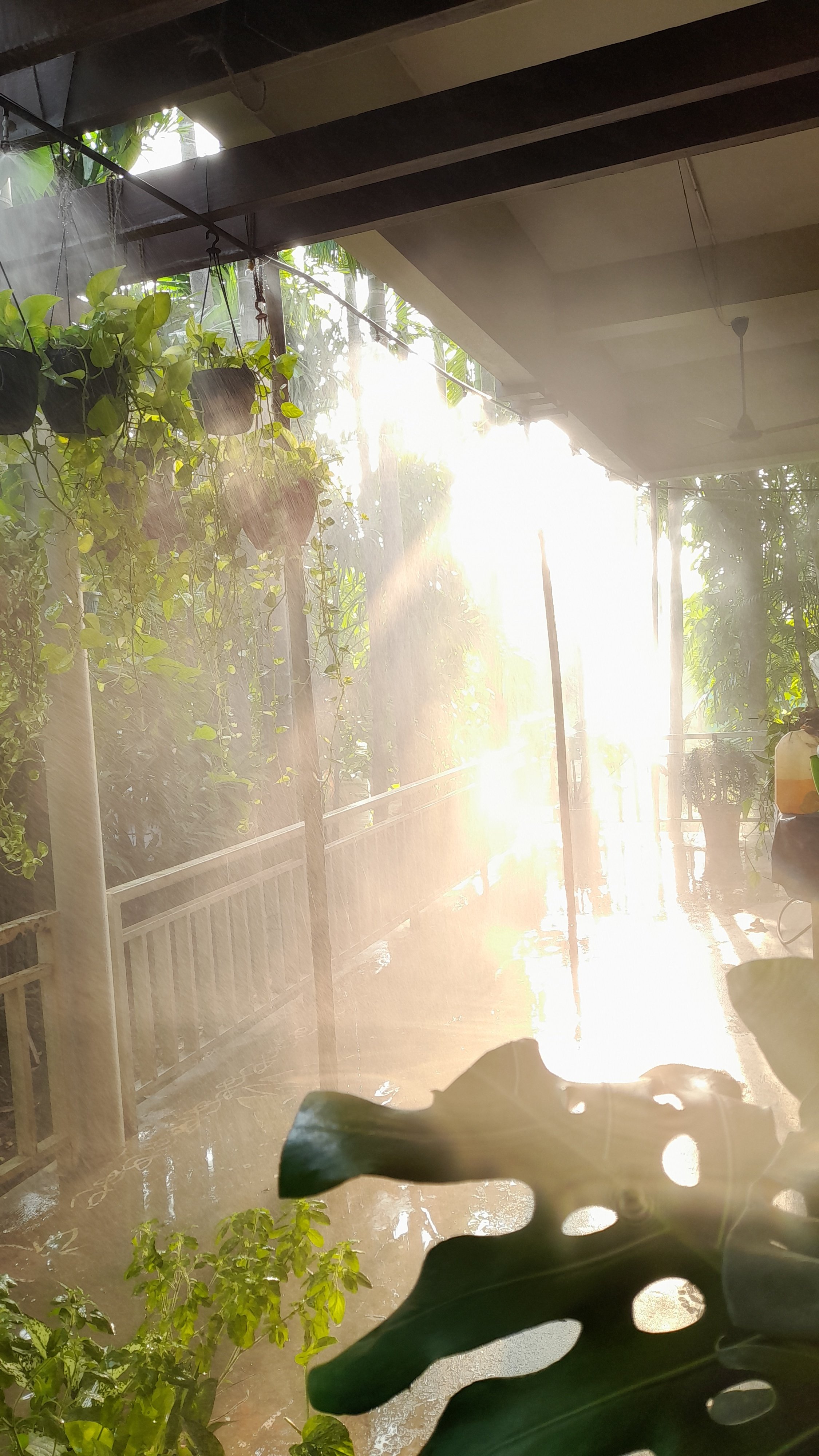 VGC Landscape Project 51