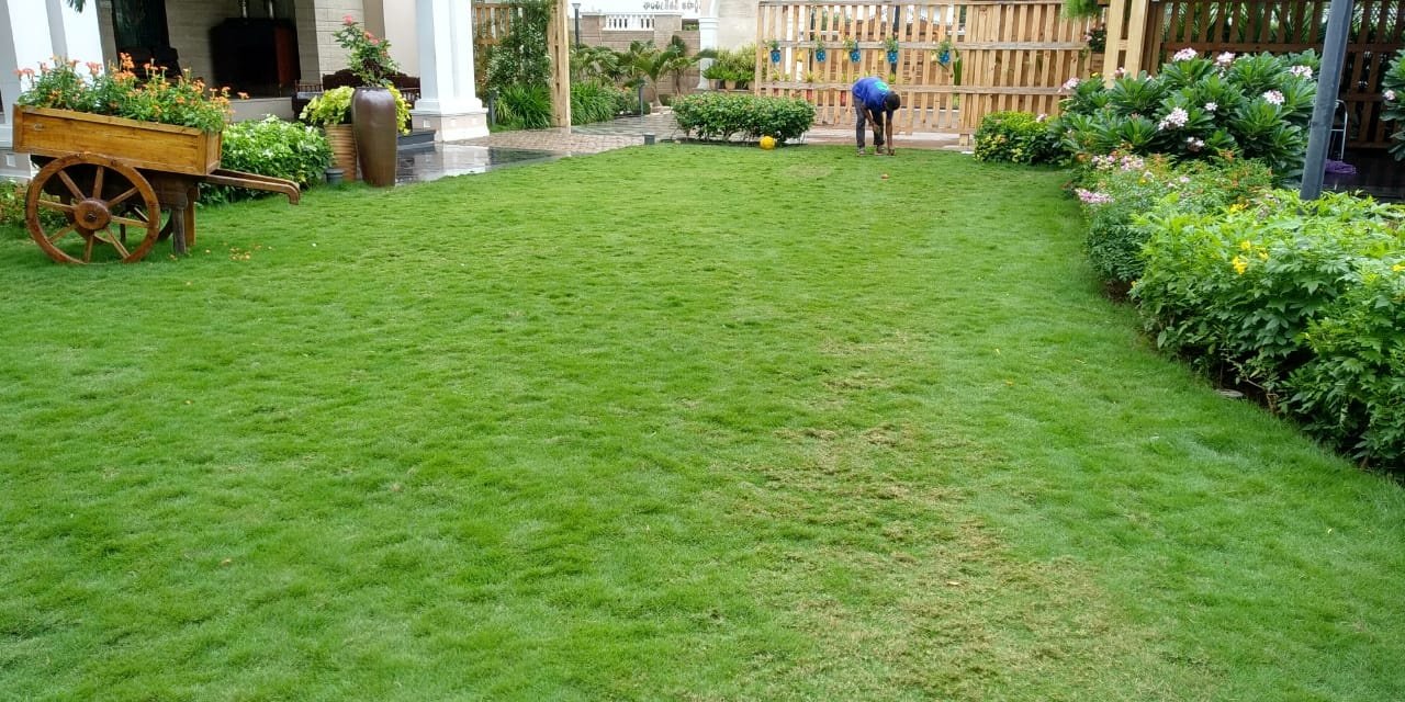 VGC Landscape Project 62