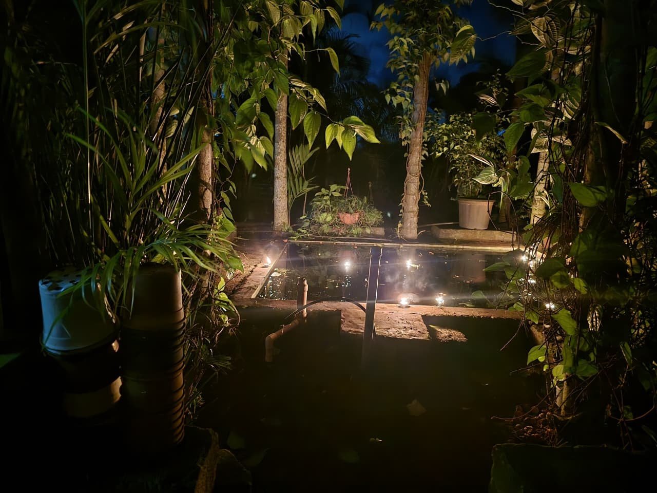 VGC Landscape Project 63