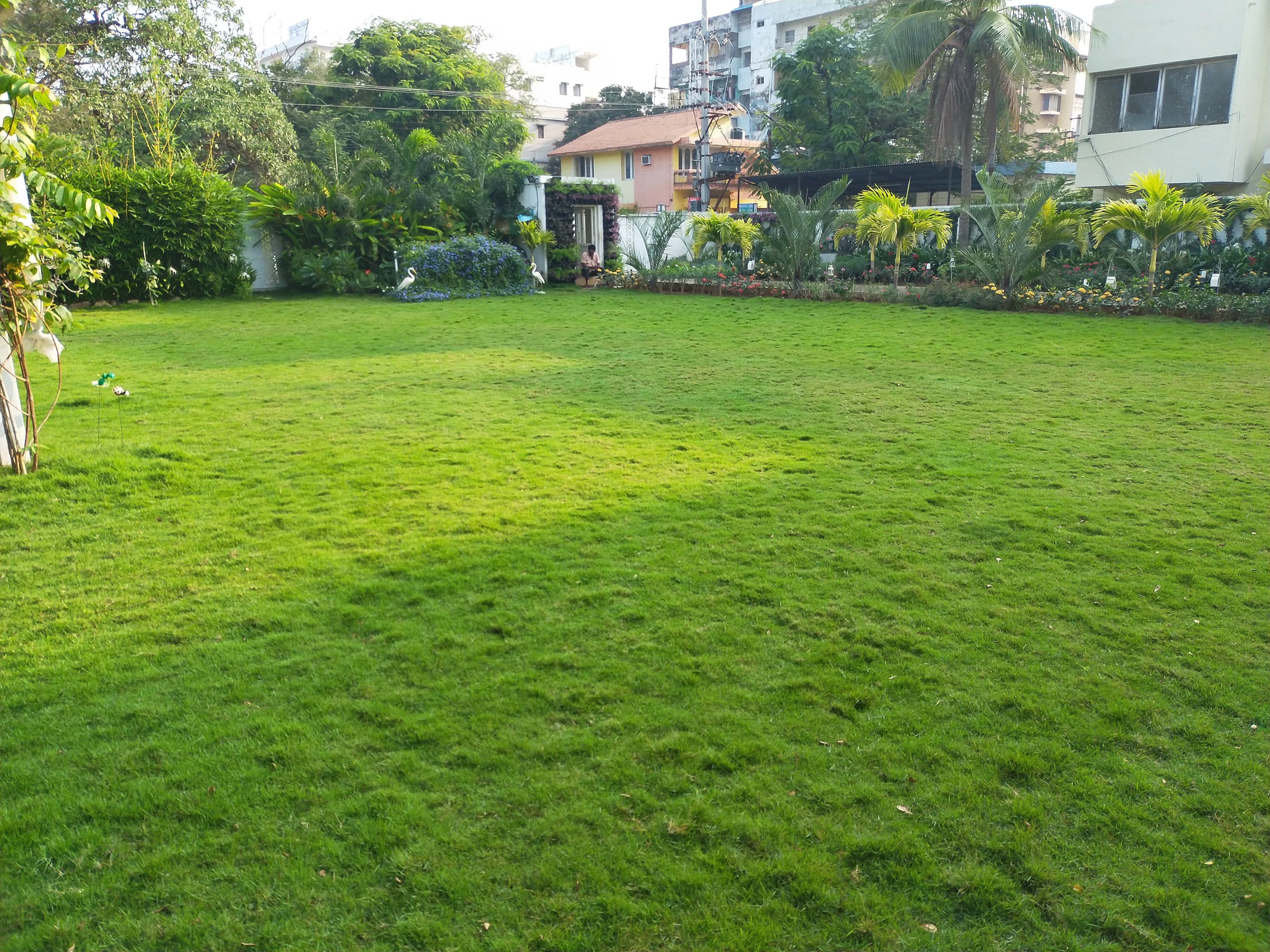 VGC Landscape Project 65