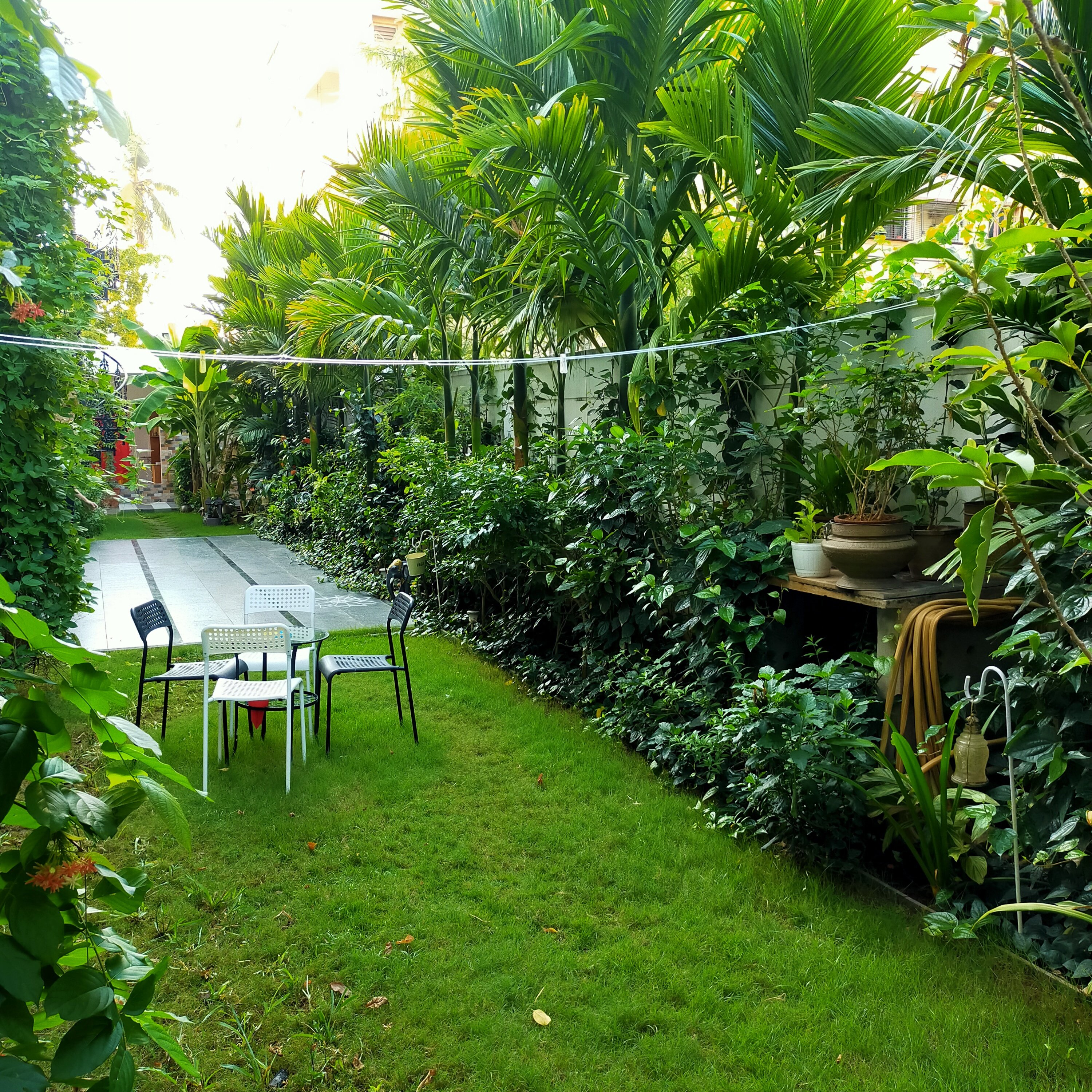 VGC Landscape Project 71