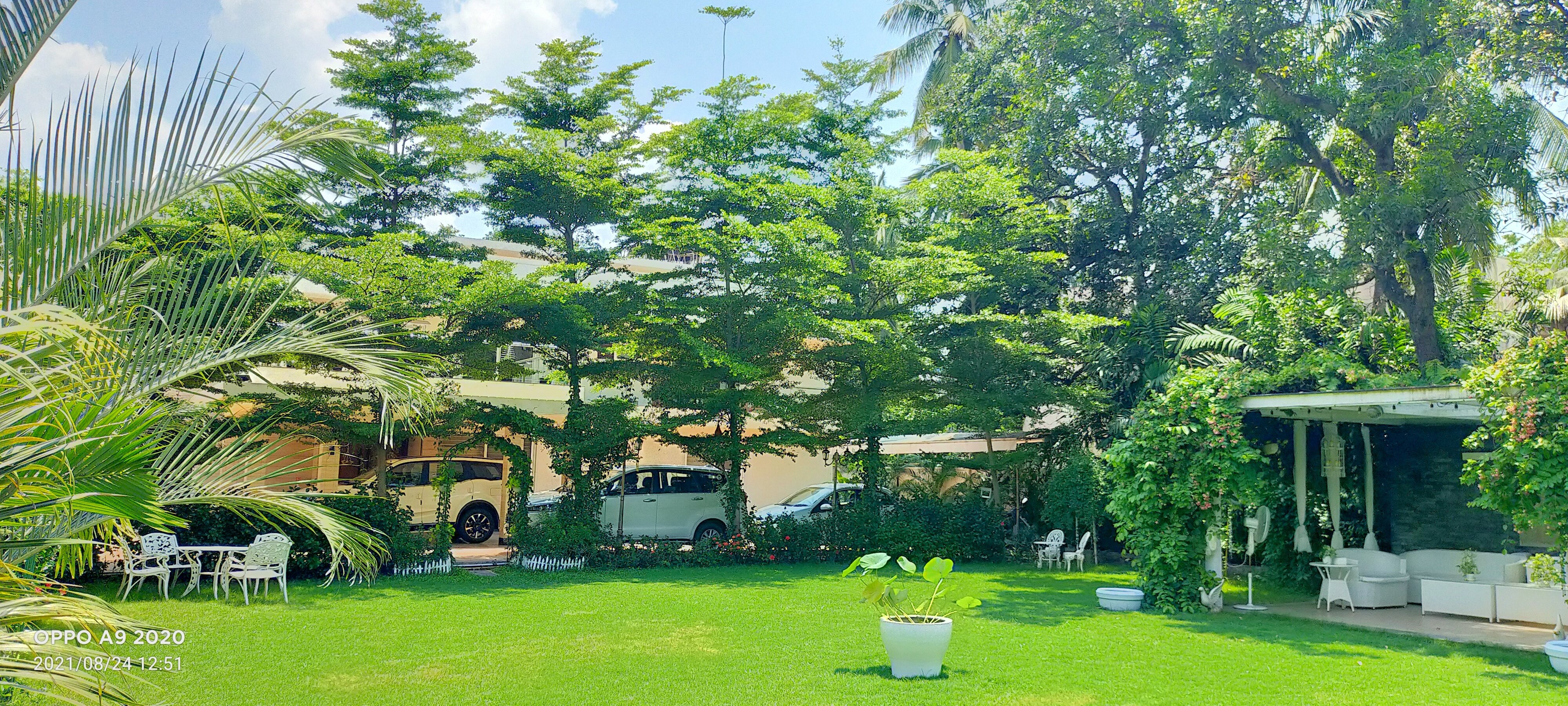 VGC Landscape Project 74