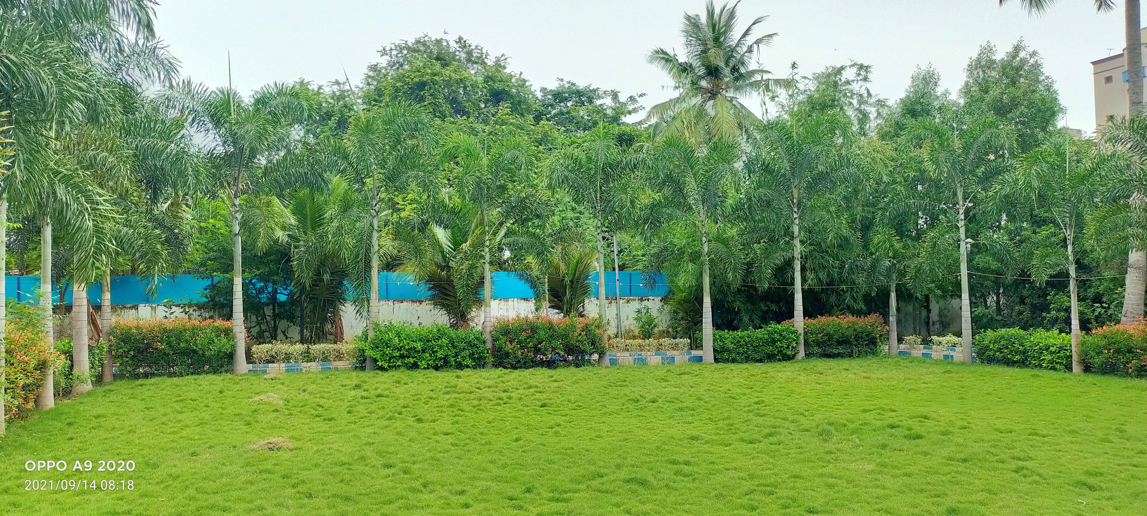 VGC Landscape Project 75