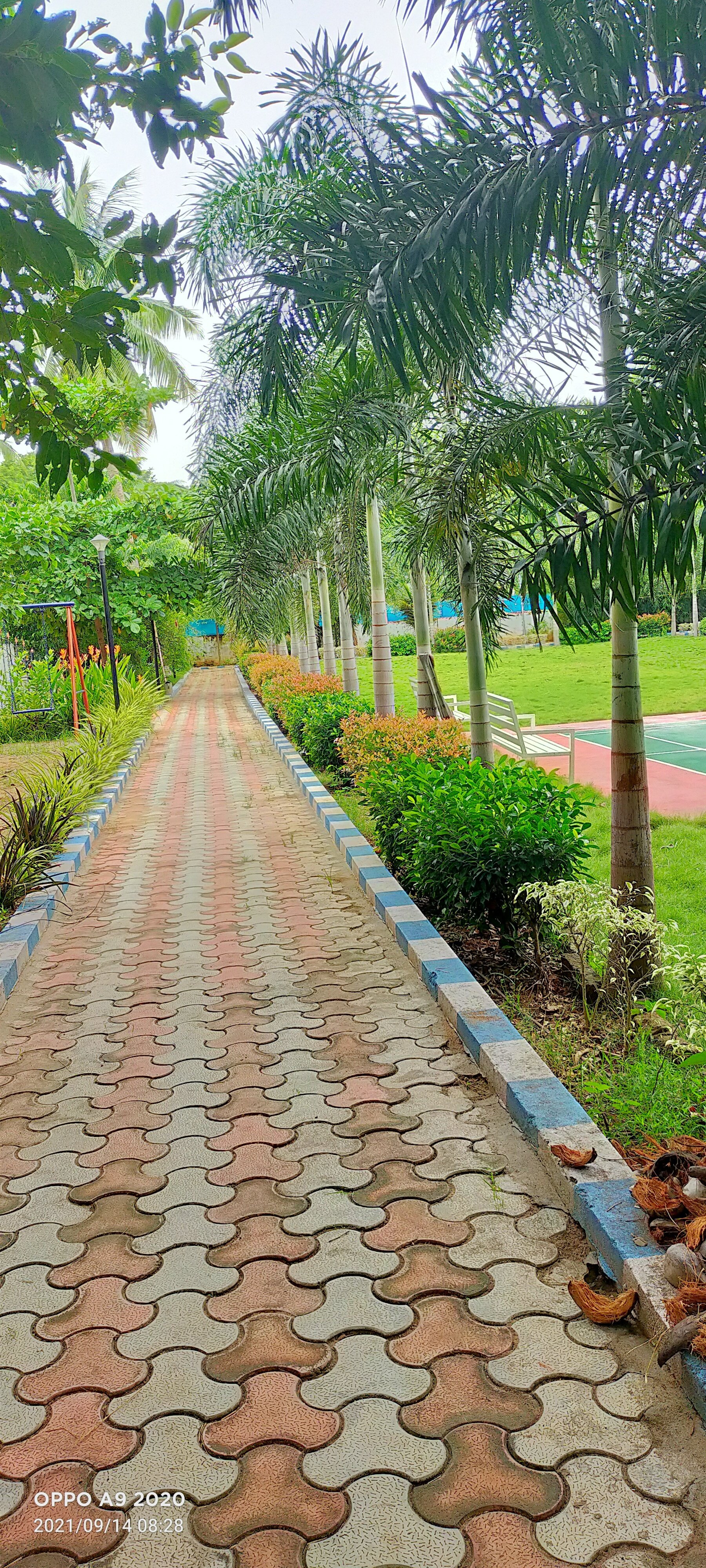 VGC Landscape Project 76