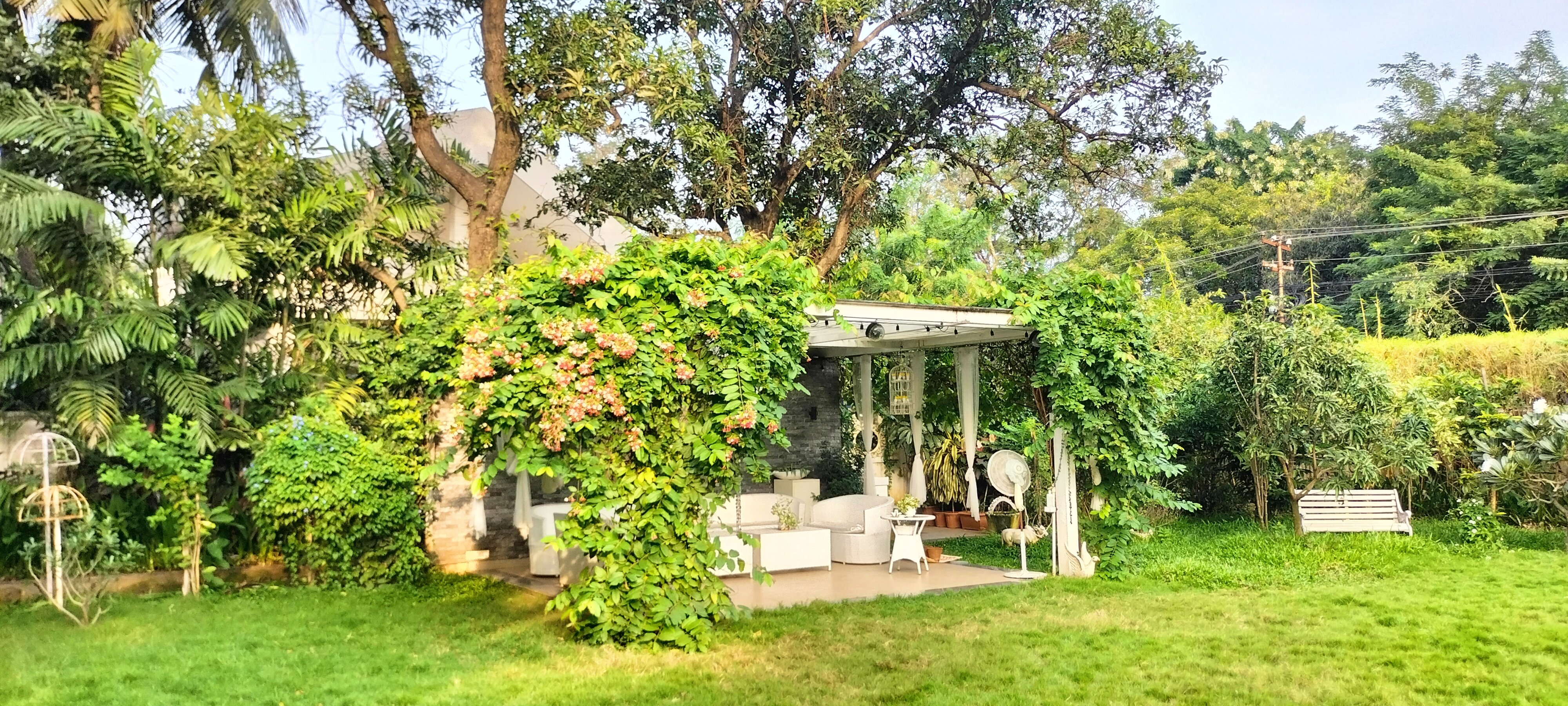 VGC Landscape Project 78