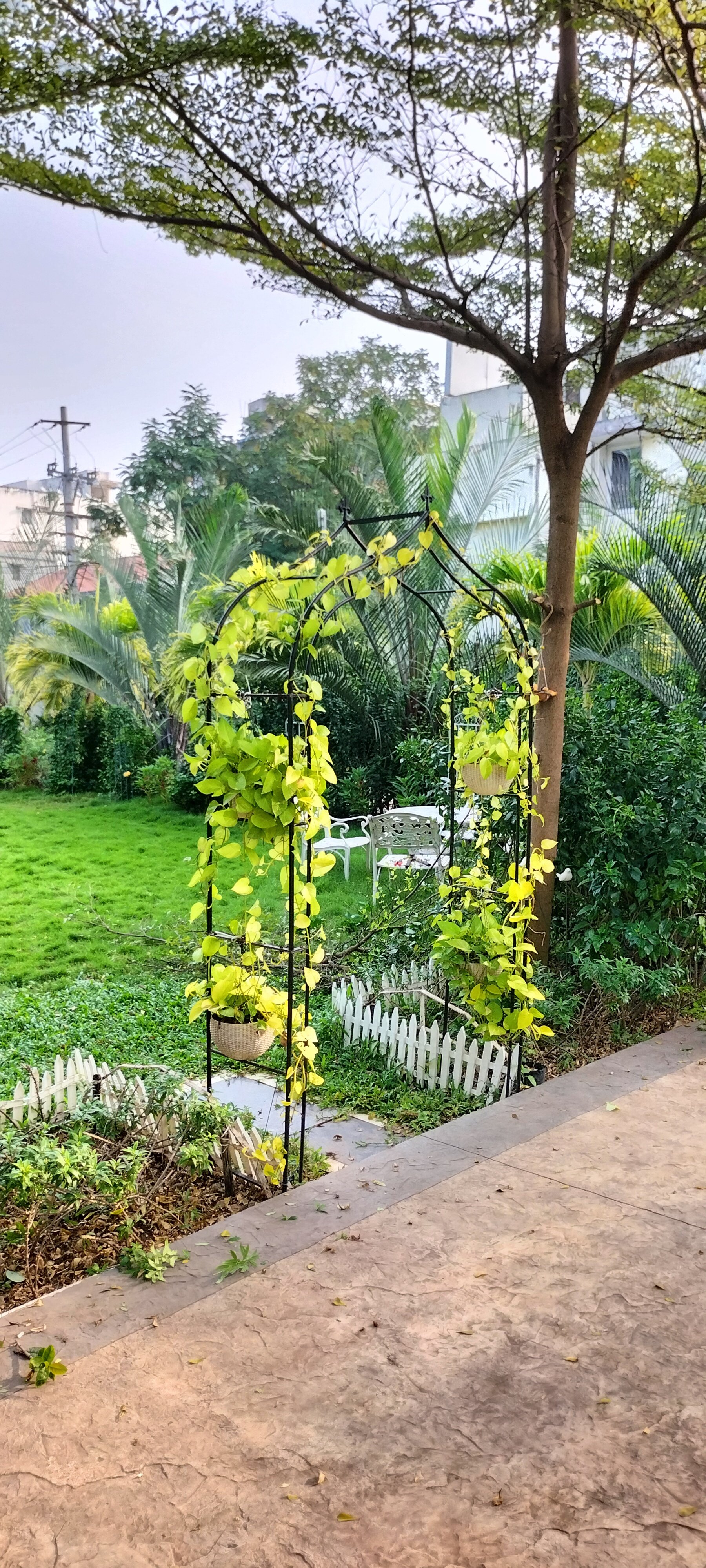 VGC Landscape Project 80