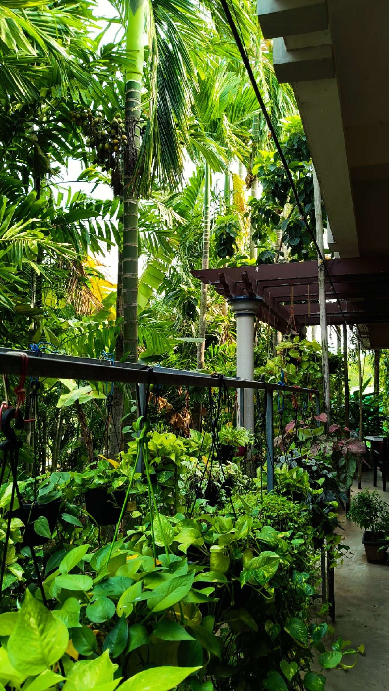 VGC Landscape Project 83