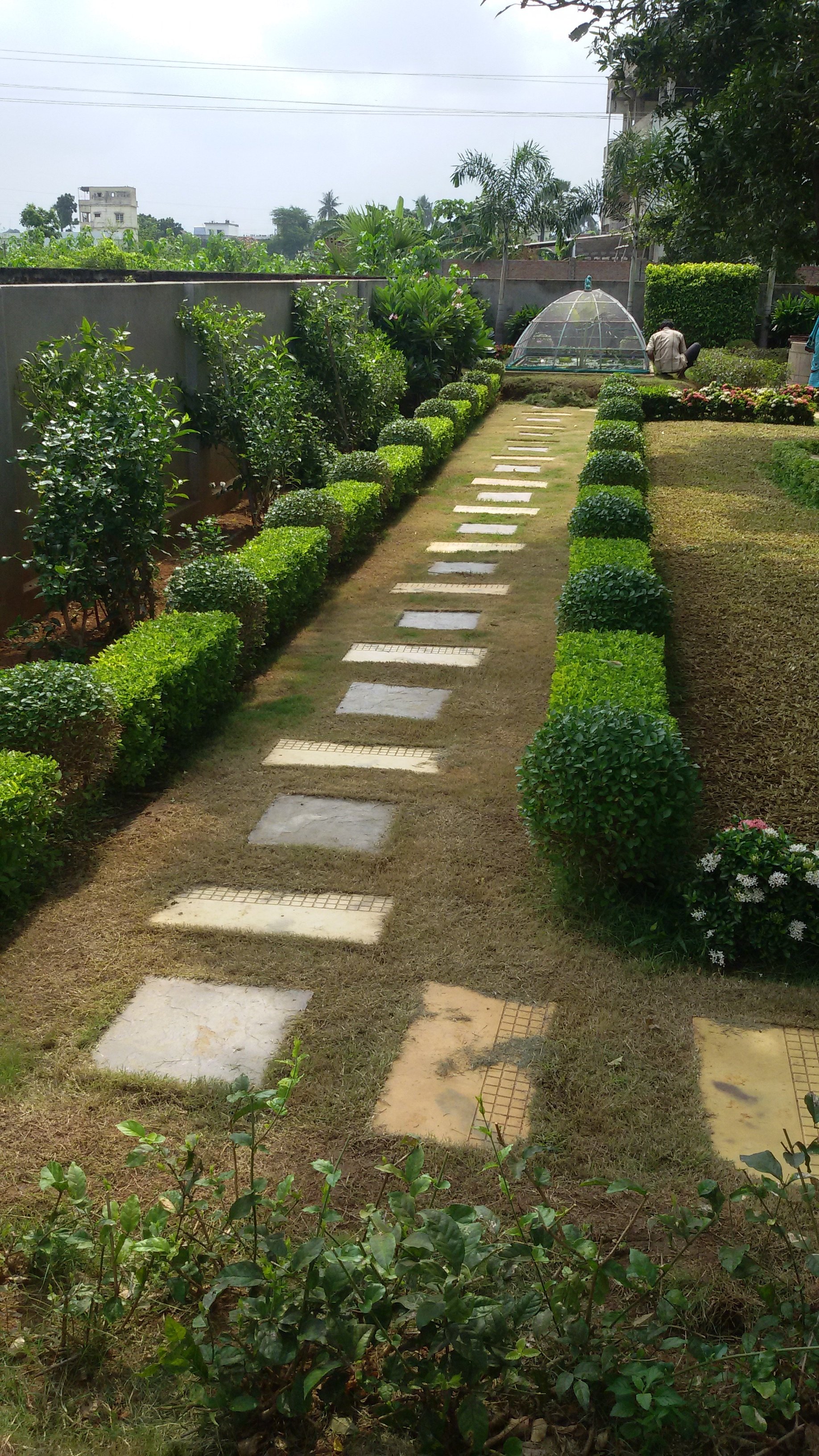 VGC Landscape Project 85