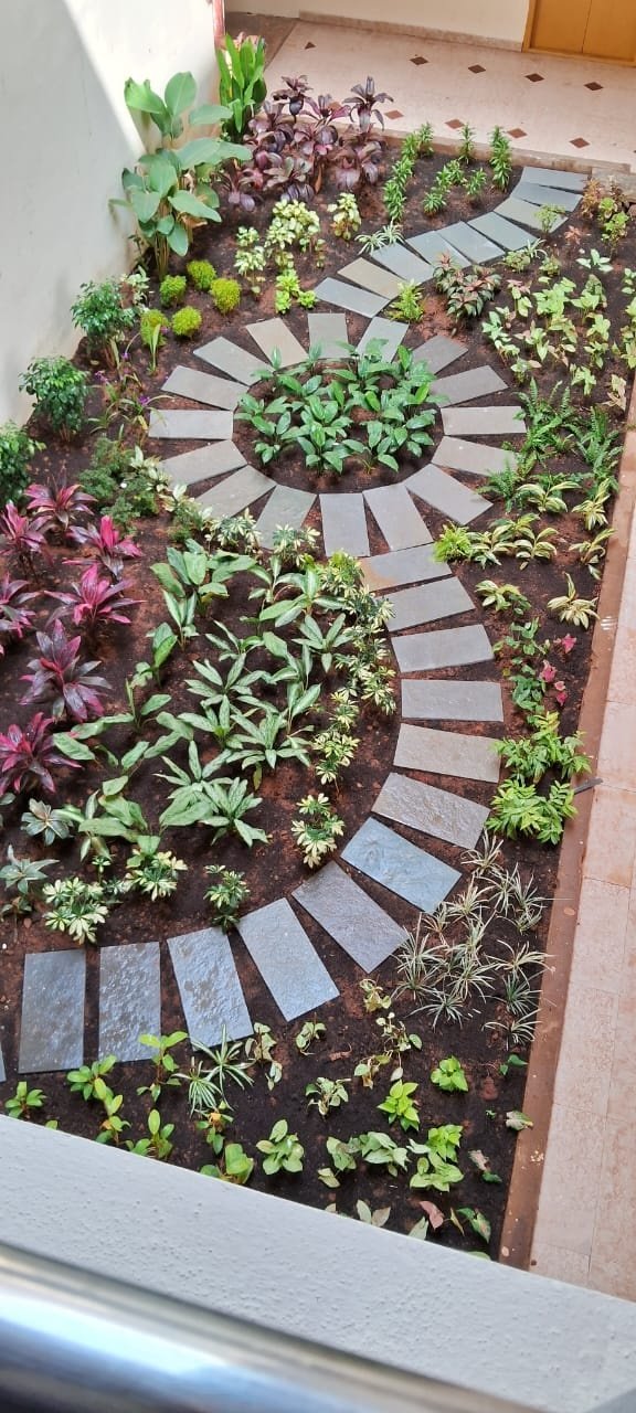 VGC Landscape Project 89