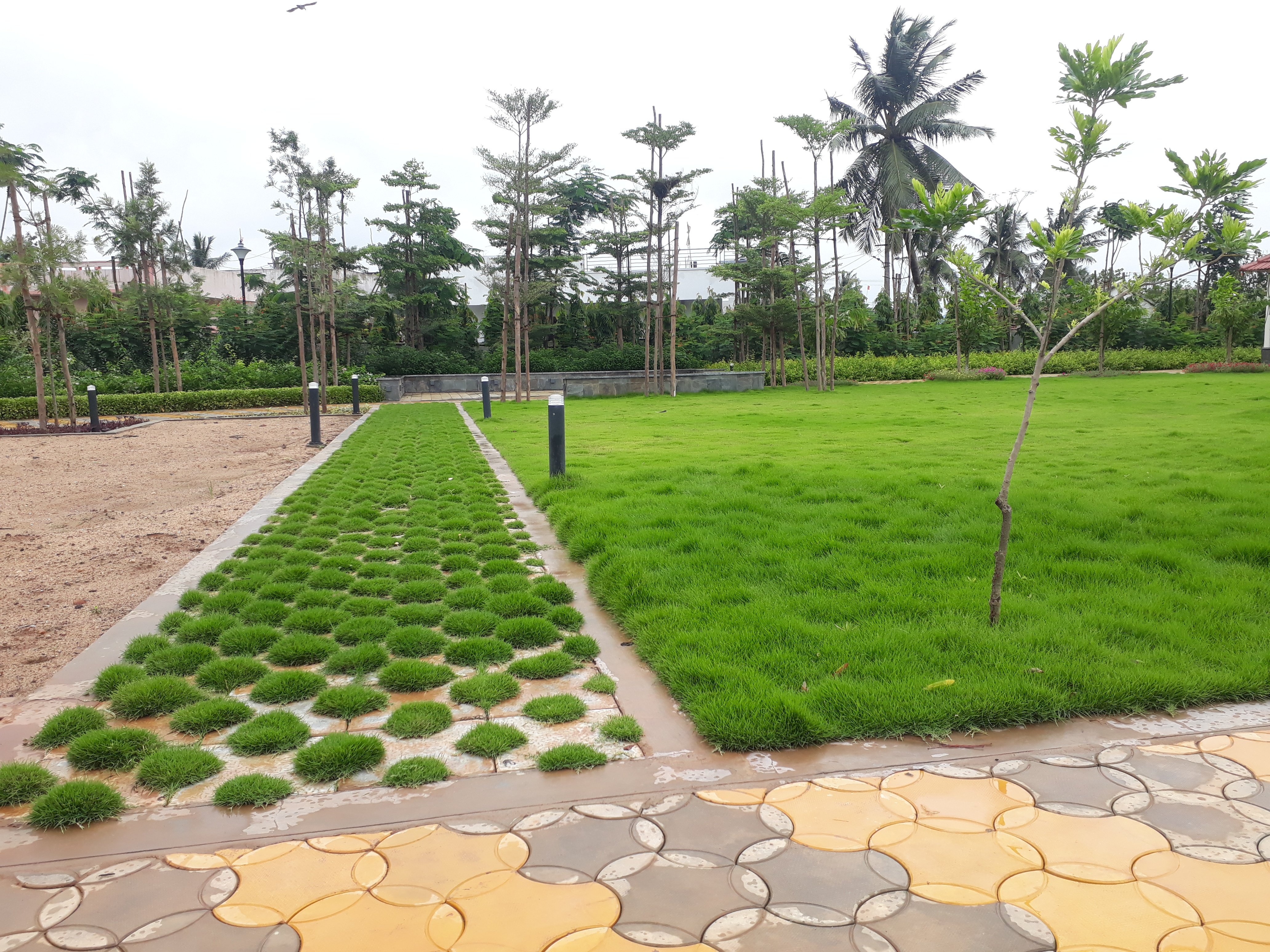 VGC Landscape Project 97