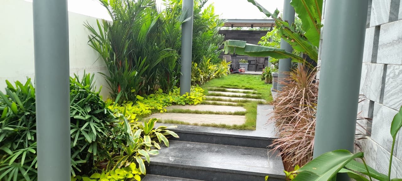 VGC Landscape Project 101