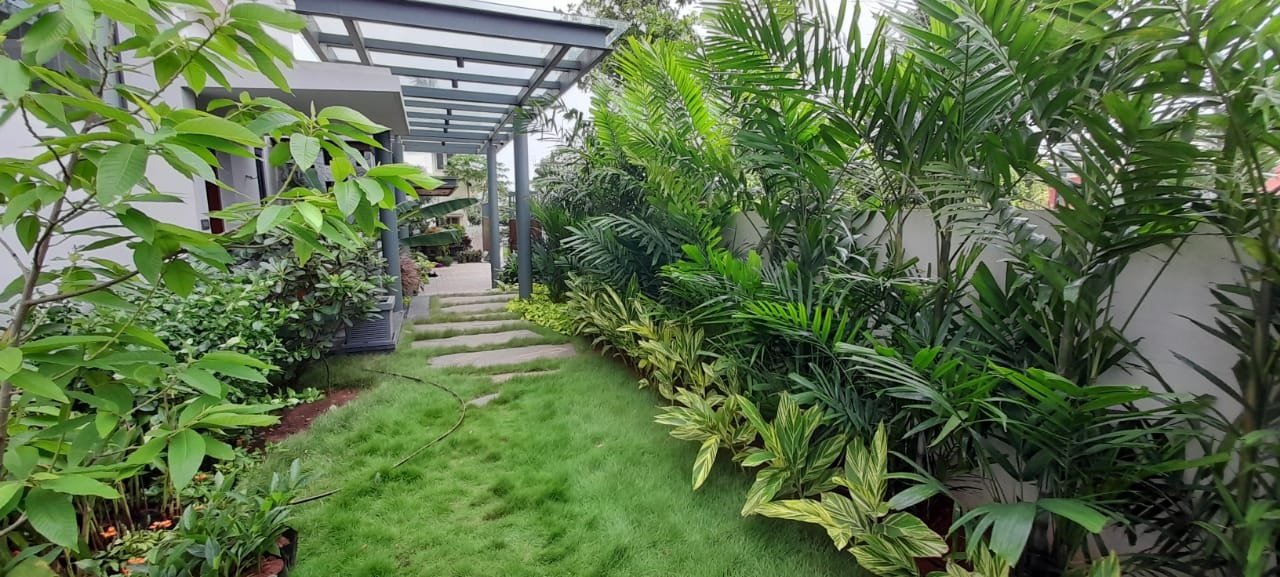 VGC Landscape Project 103