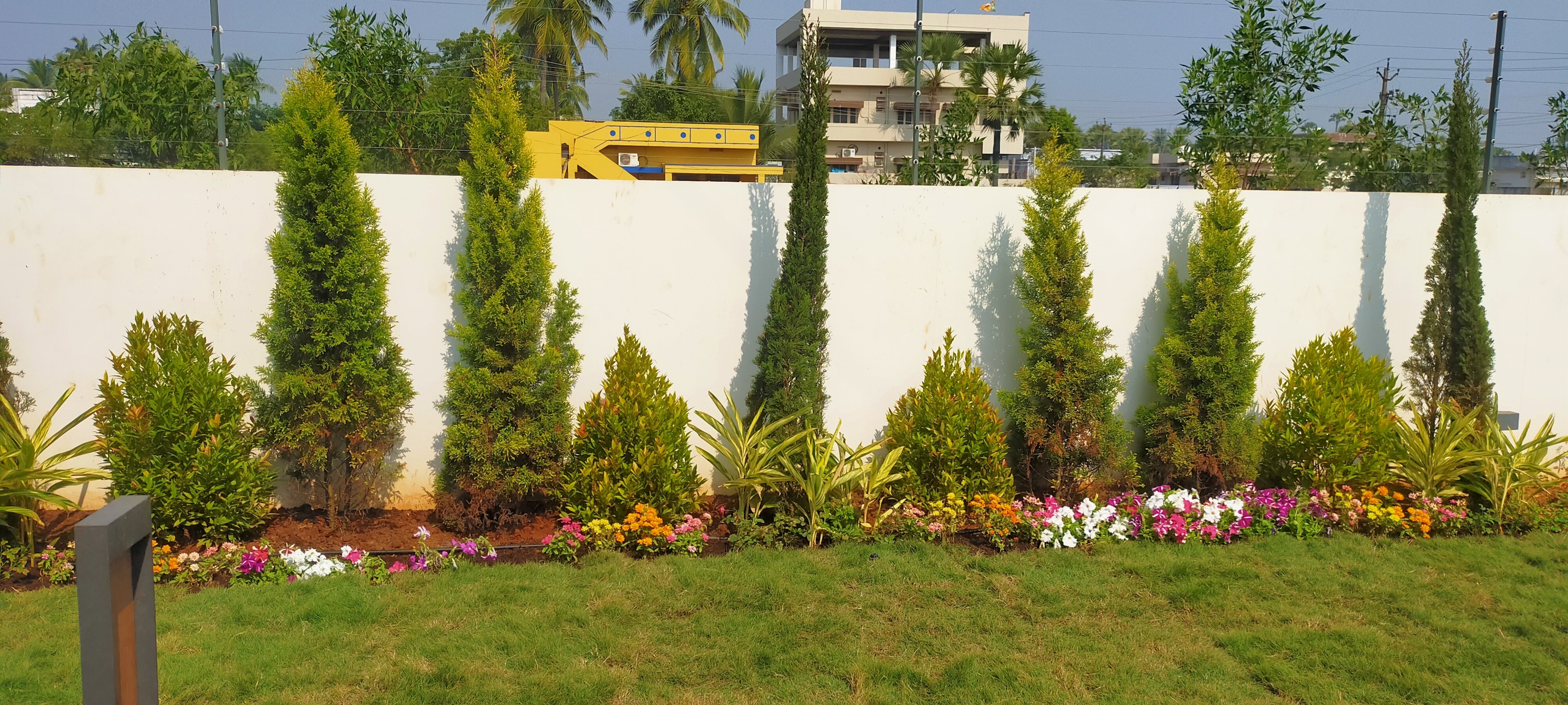 VGC Landscape Project 104