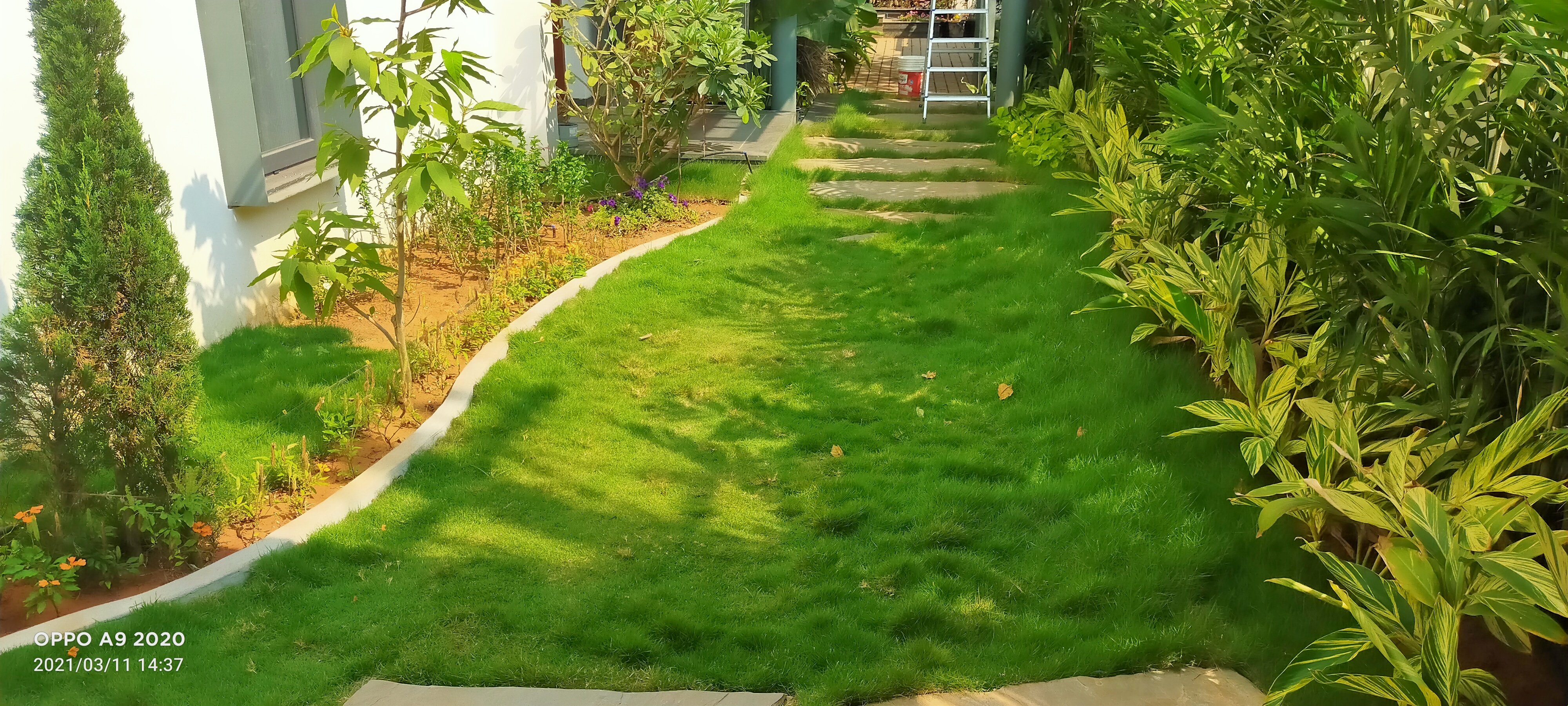 VGC Landscape Project 107