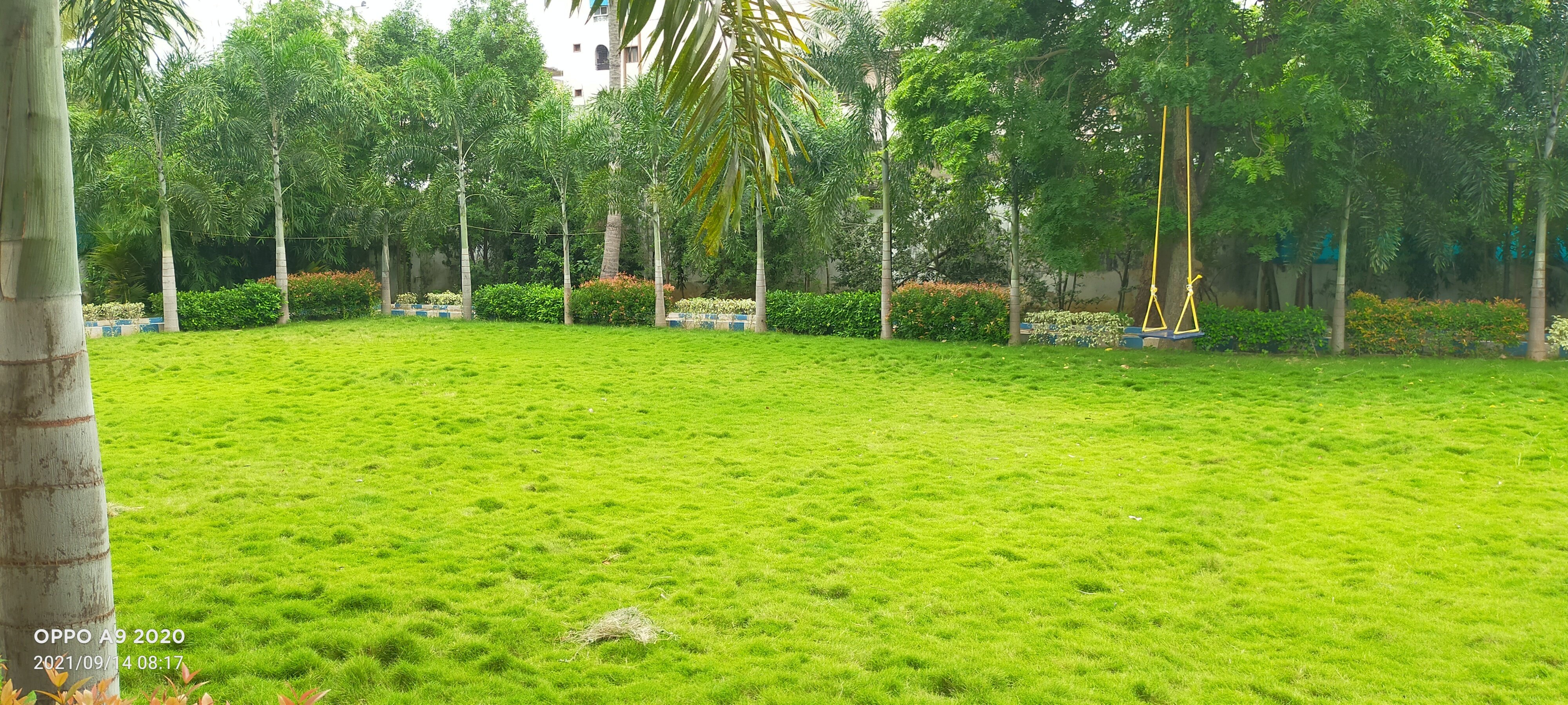 VGC Landscape Project 109