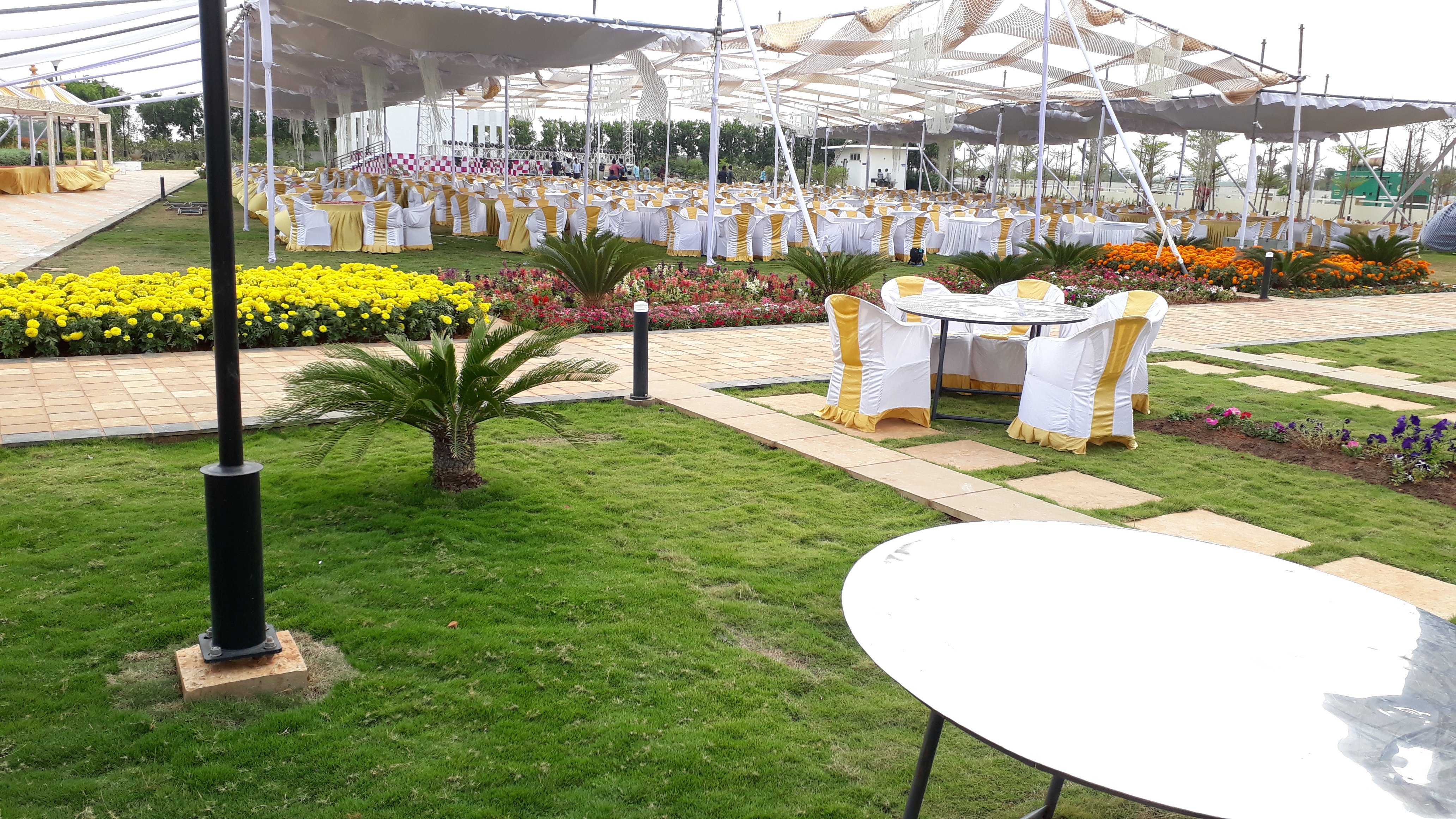 VGC Landscape Project 117