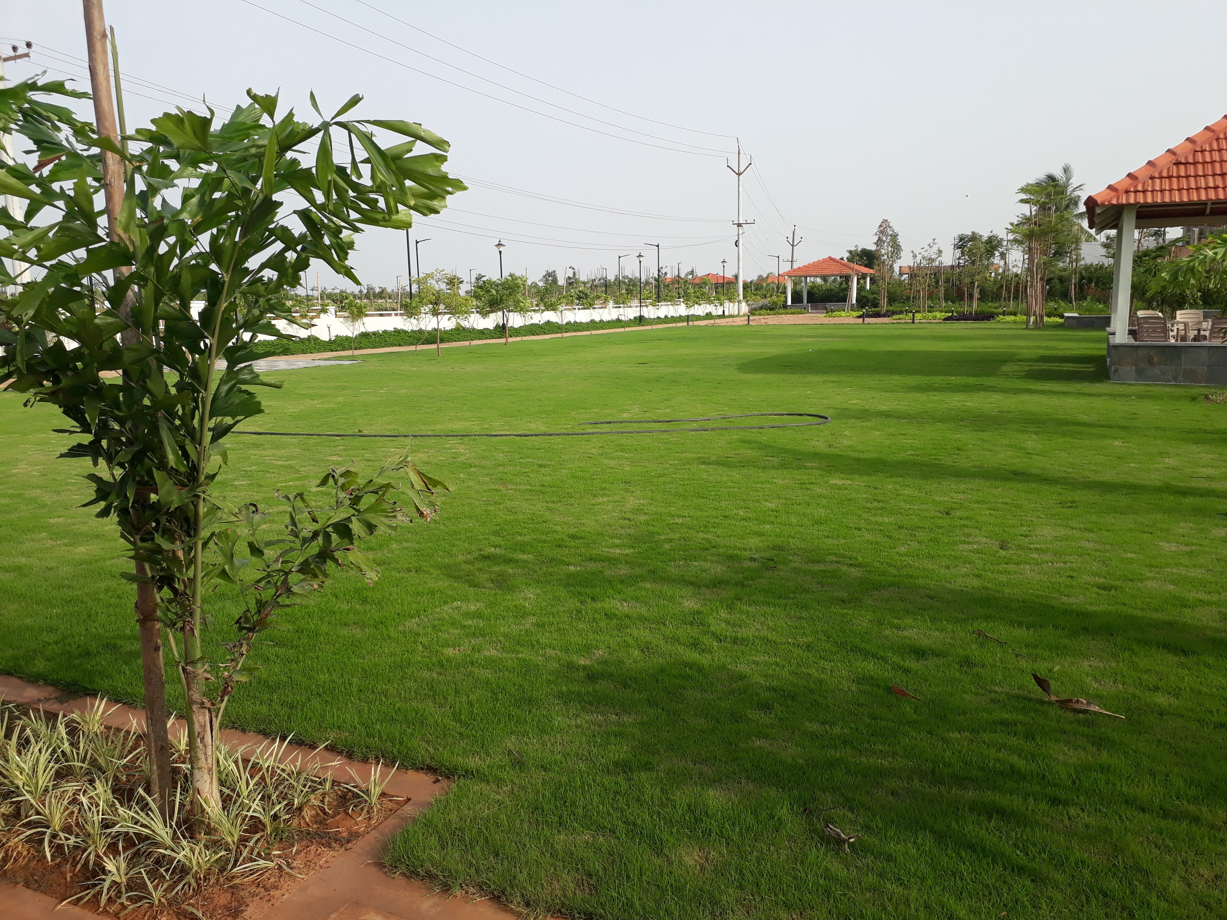 VGC Landscape Project 120