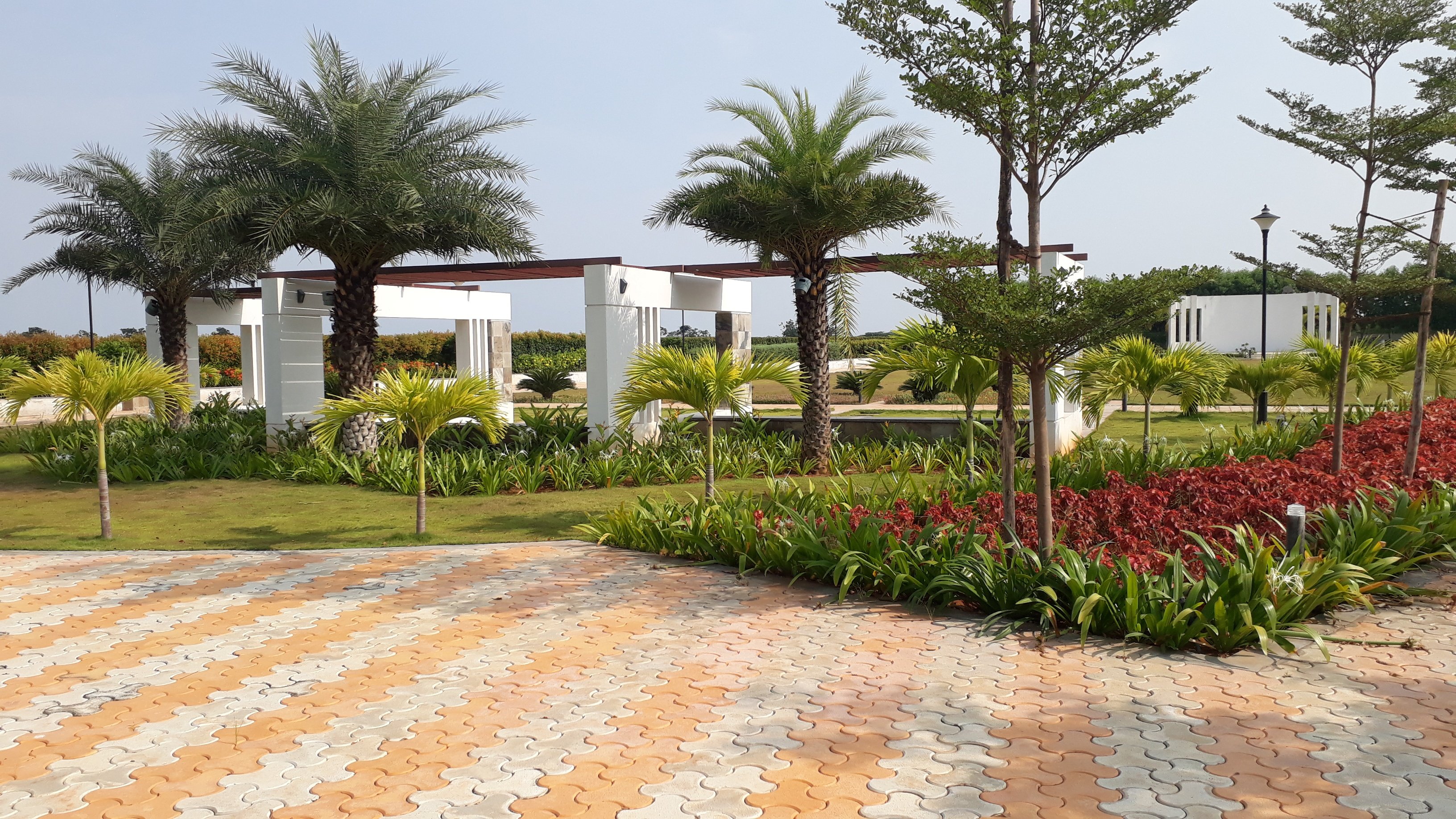 VGC Landscape Project 122