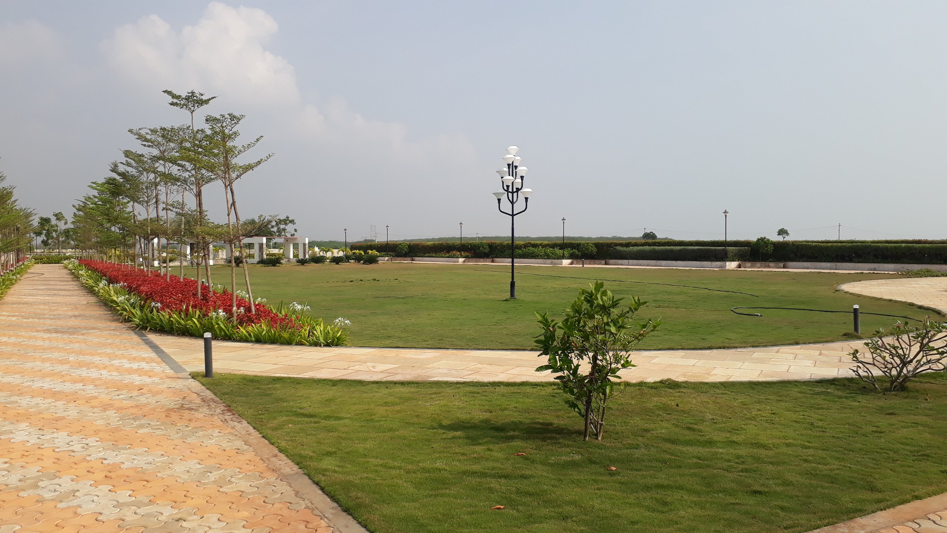 VGC Landscape Project 123