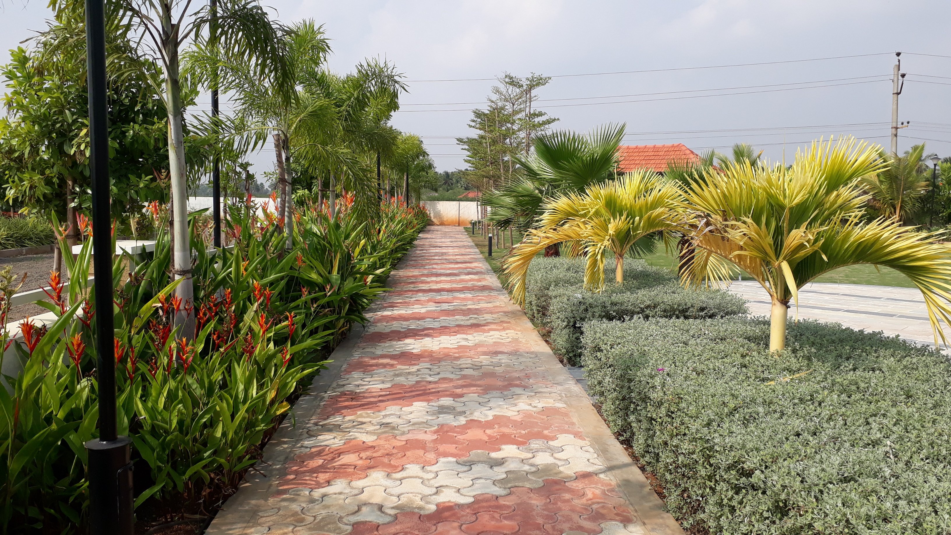 VGC Landscape Project 124