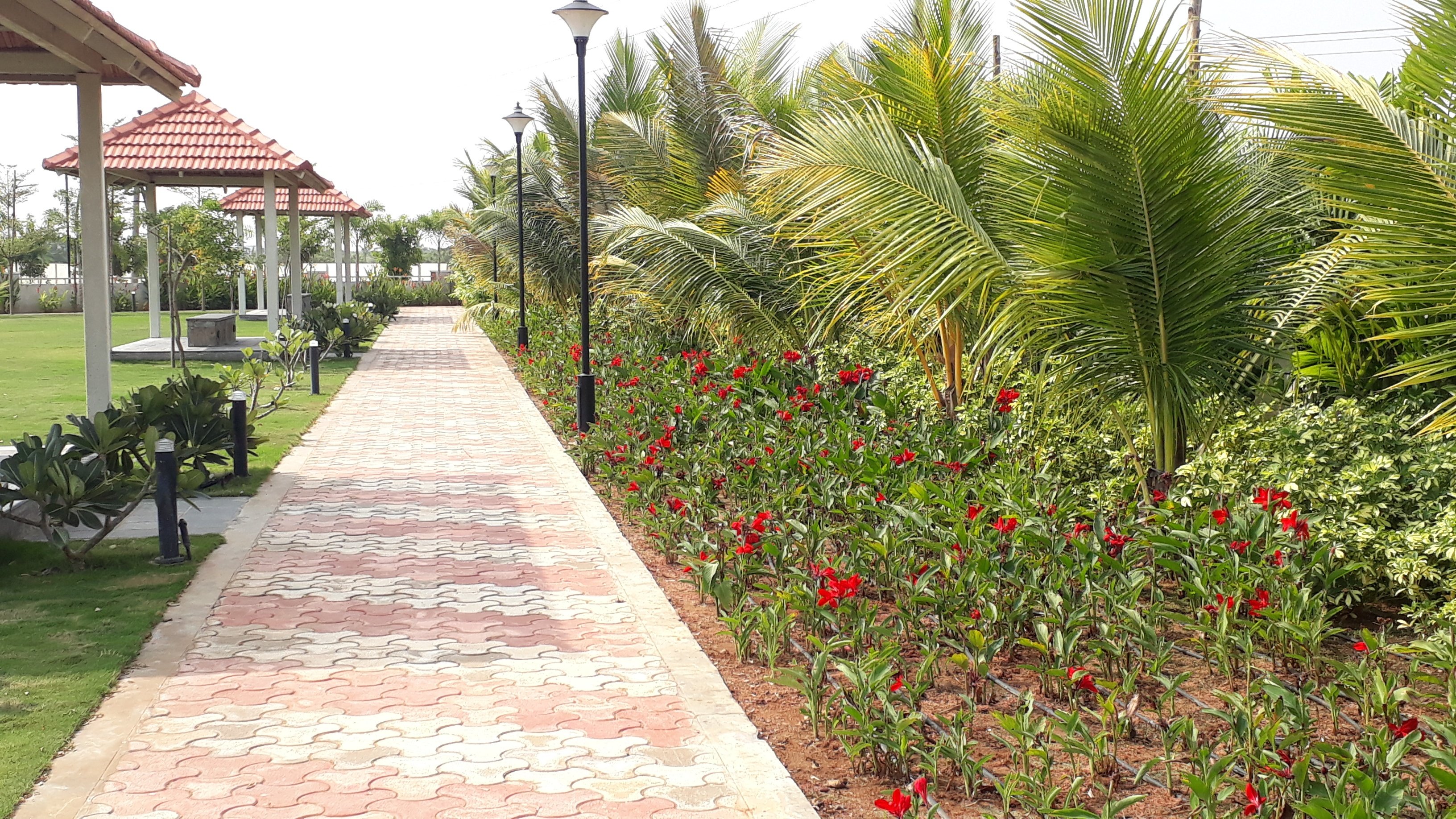 VGC Landscape Project 126