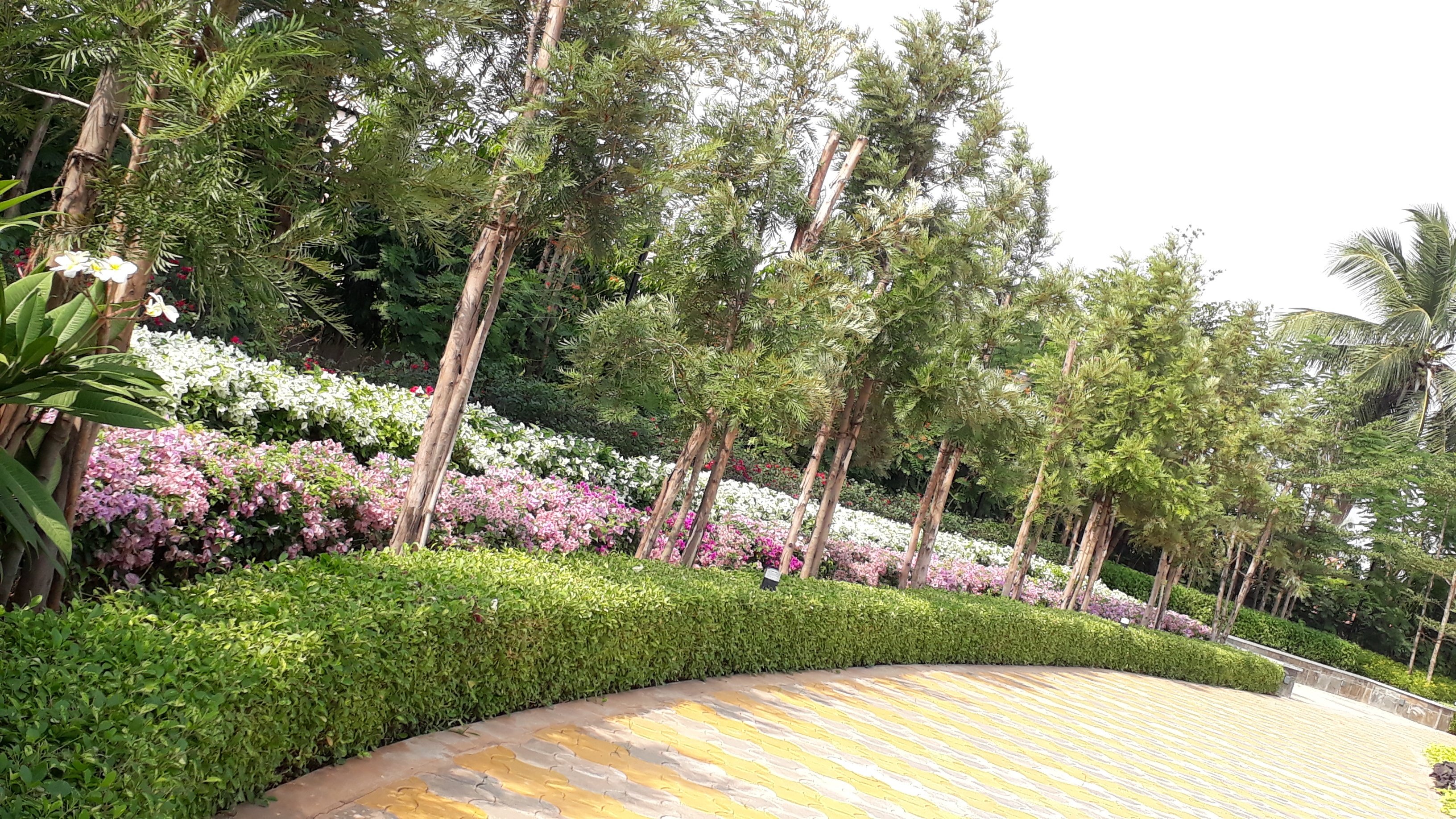 VGC Landscape Project 127