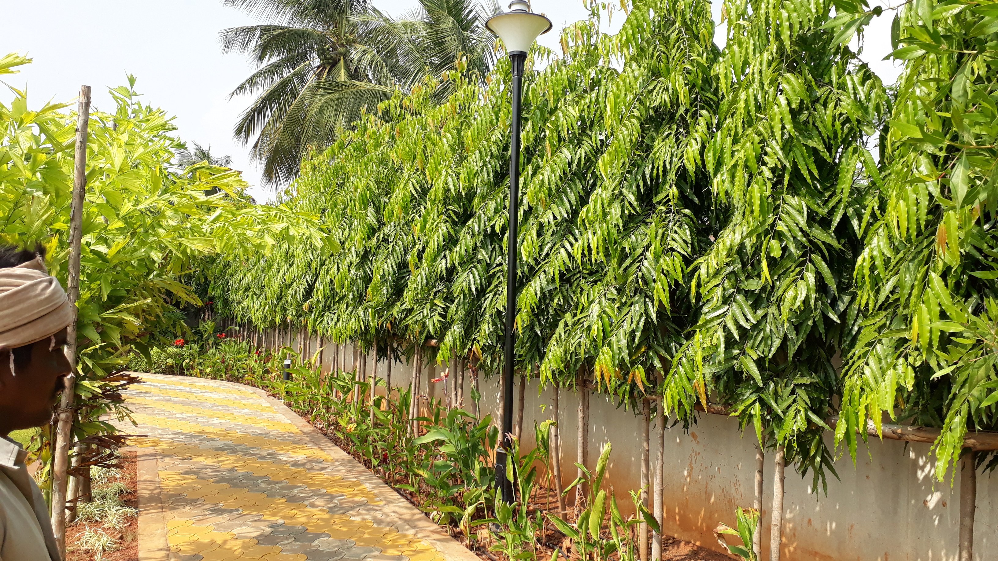 VGC Landscape Project 129