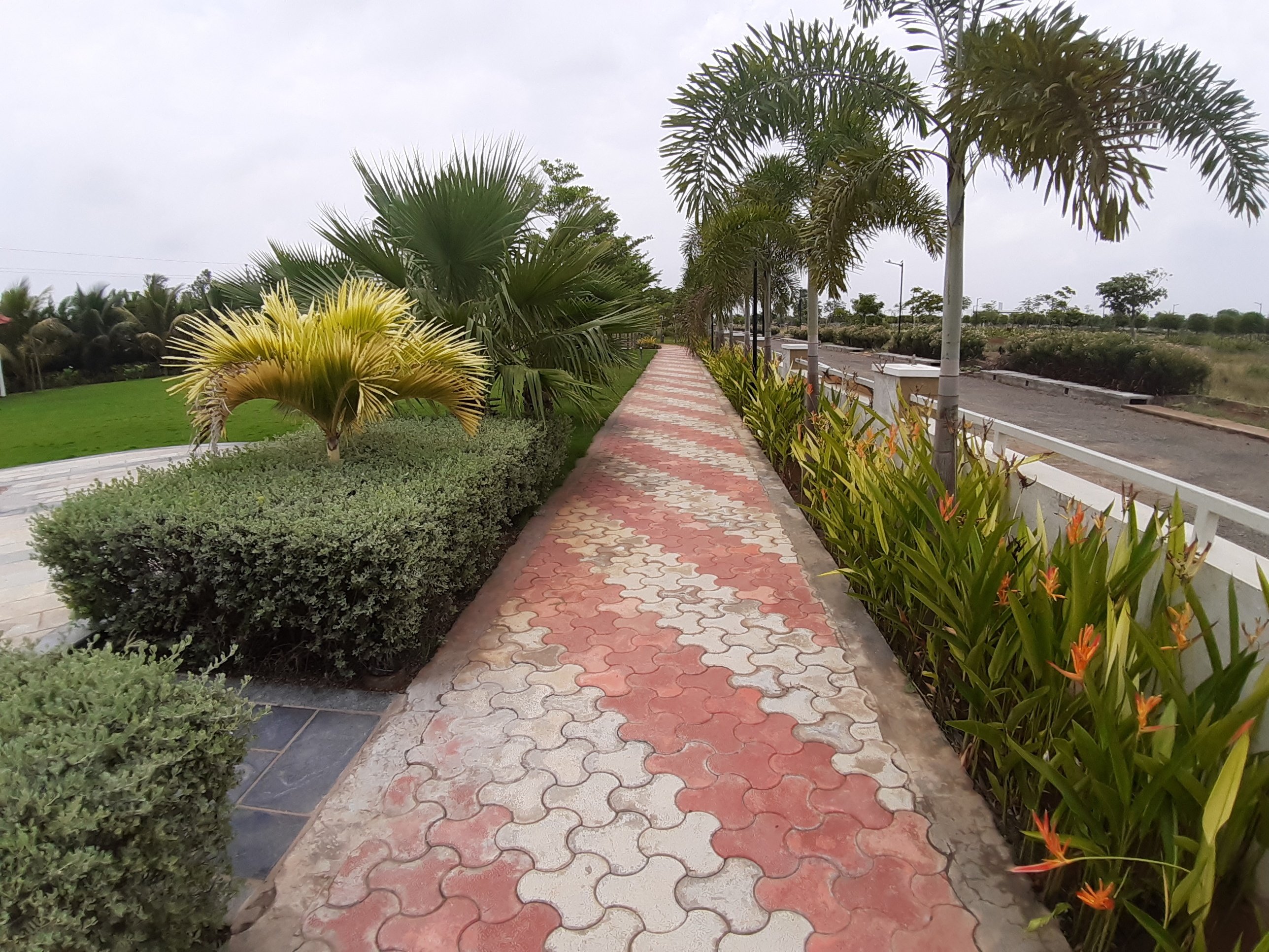 VGC Landscape Project 132