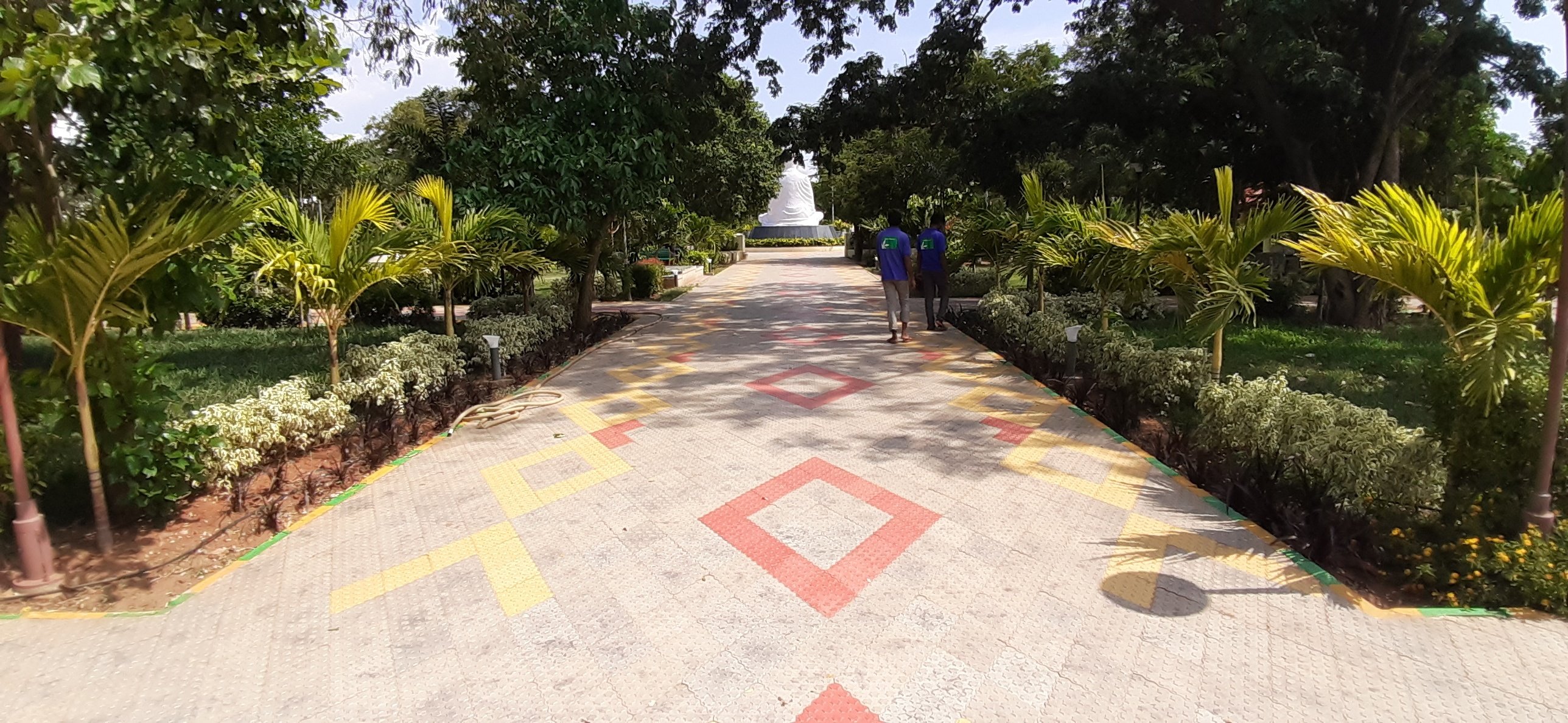 VGC Landscape Project 136