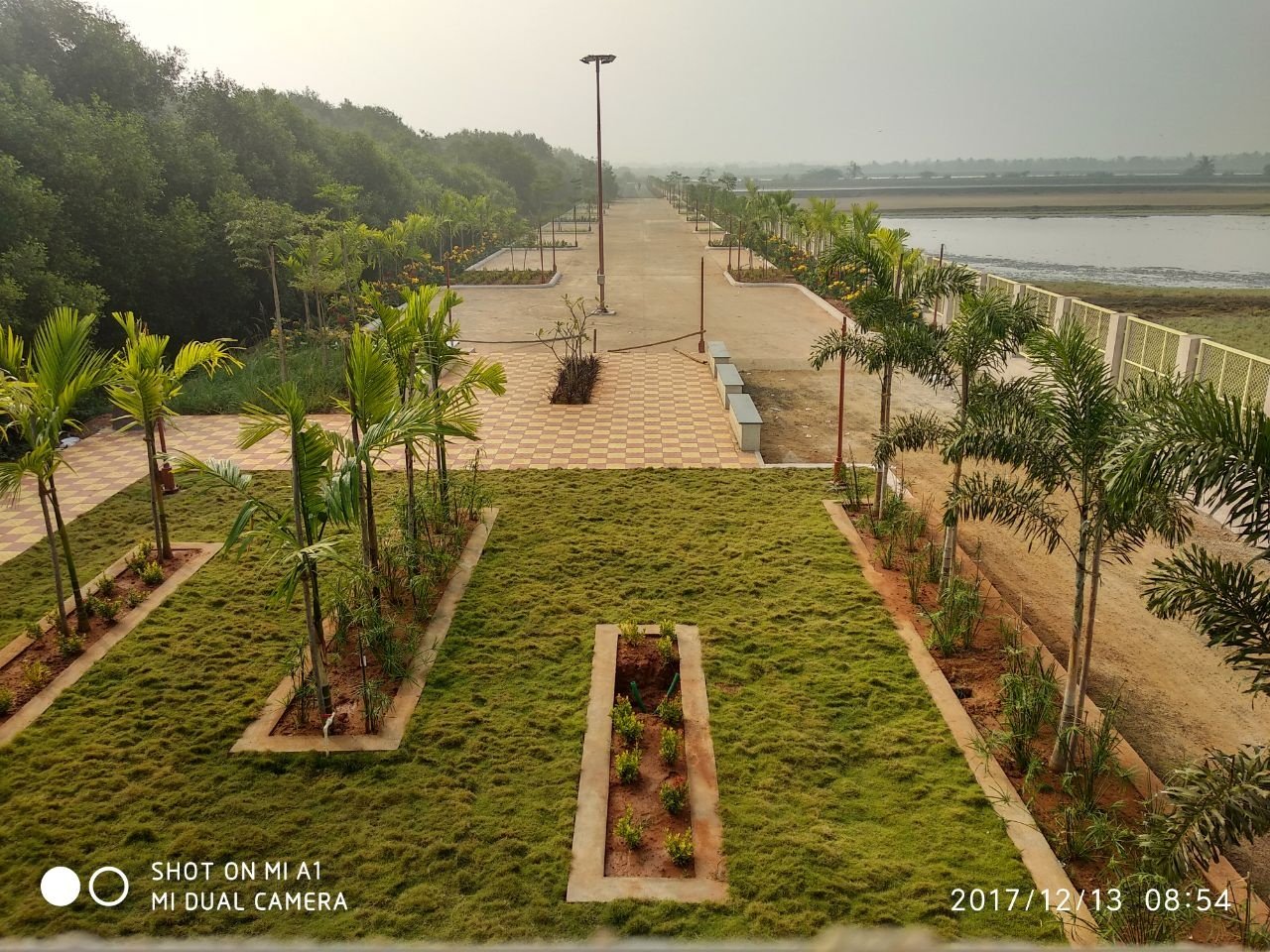 VGC Landscape Project 139