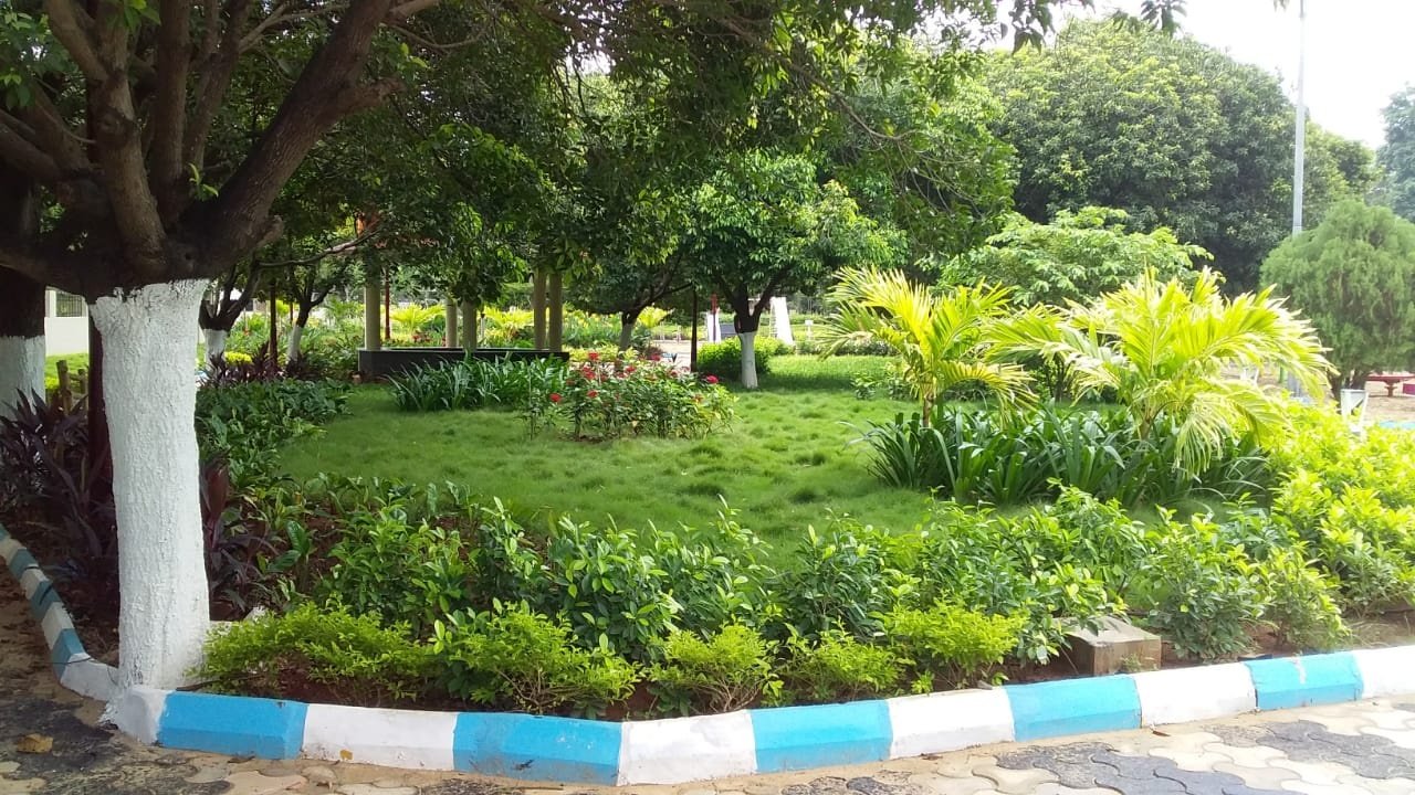 VGC Landscape Project 144