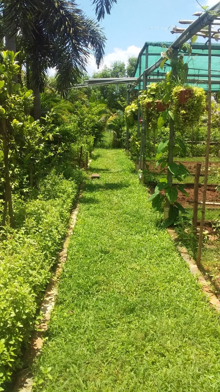 VGC Landscape Project 151