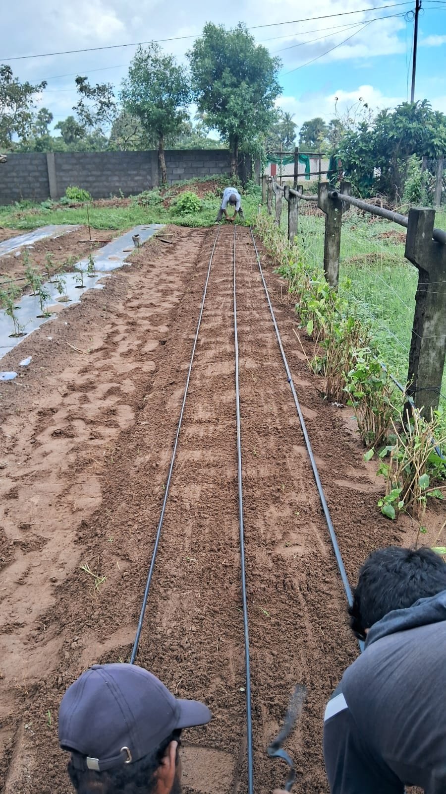 VGC Landscape Project 155