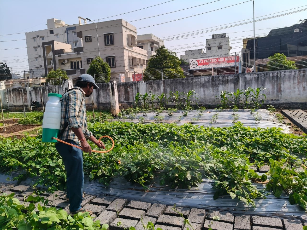 VGC Landscape Project 157