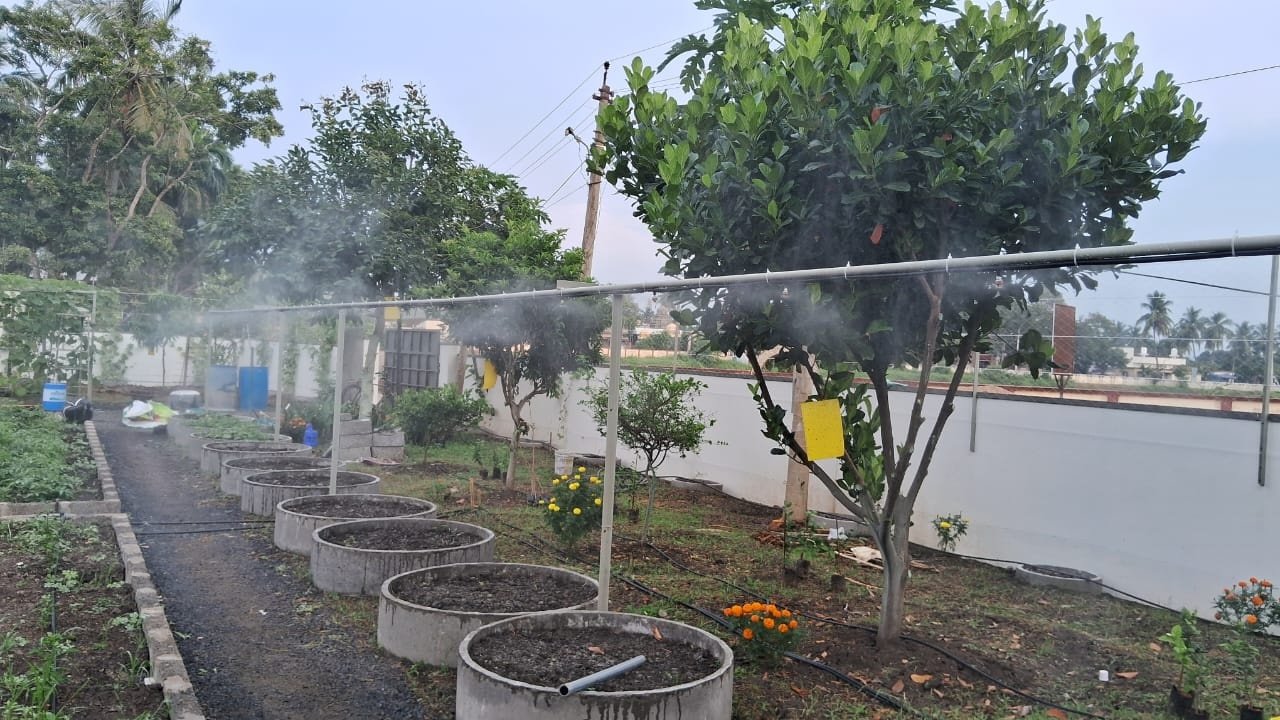 VGC Landscape Project 159