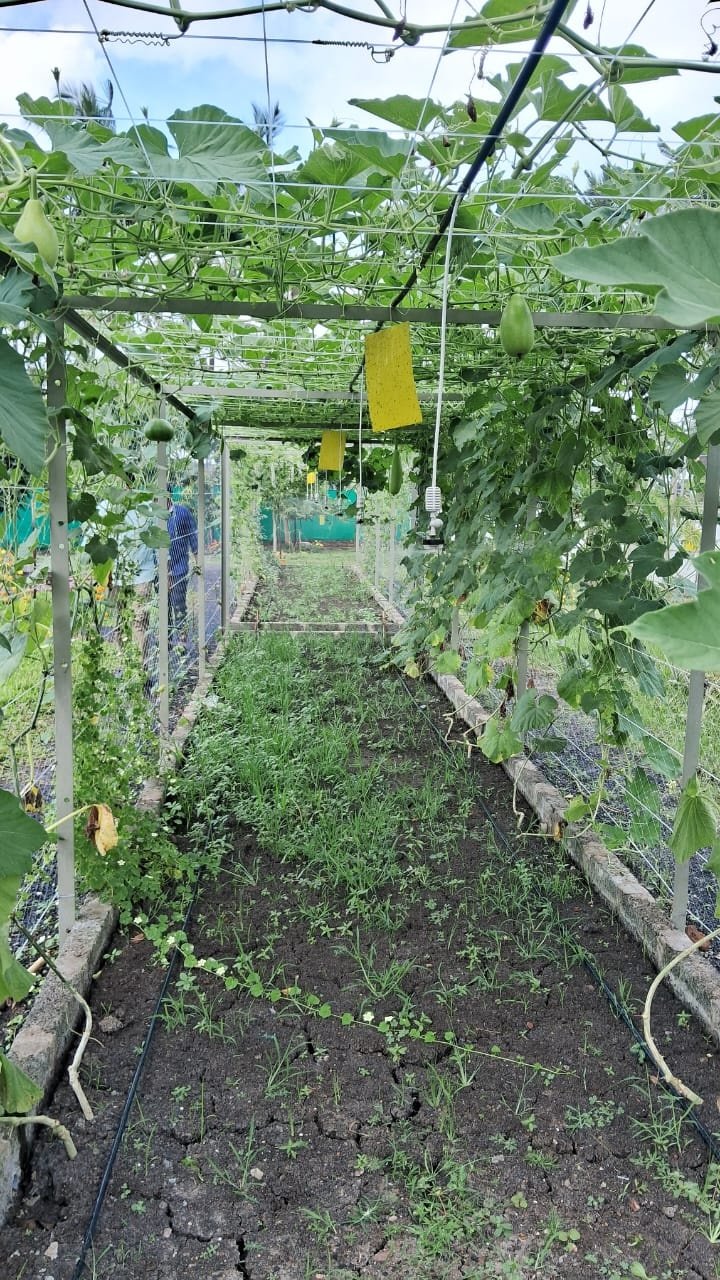 VGC Landscape Project 160