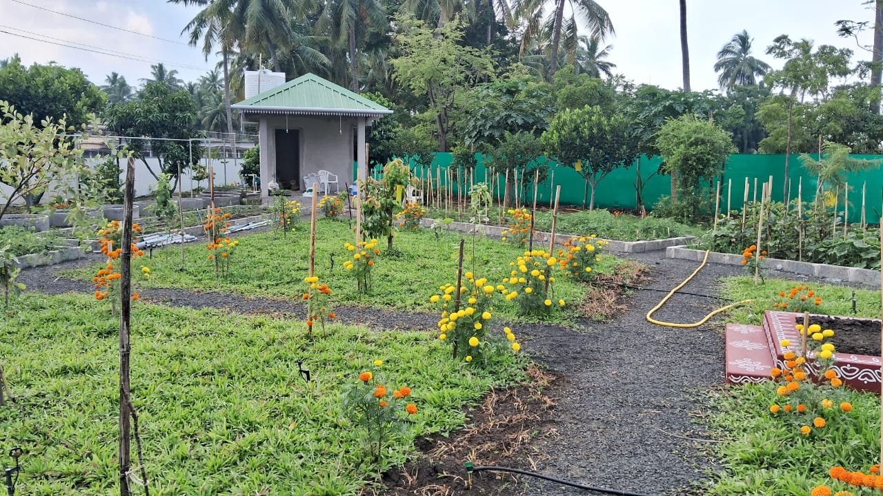 VGC Landscape Project 162