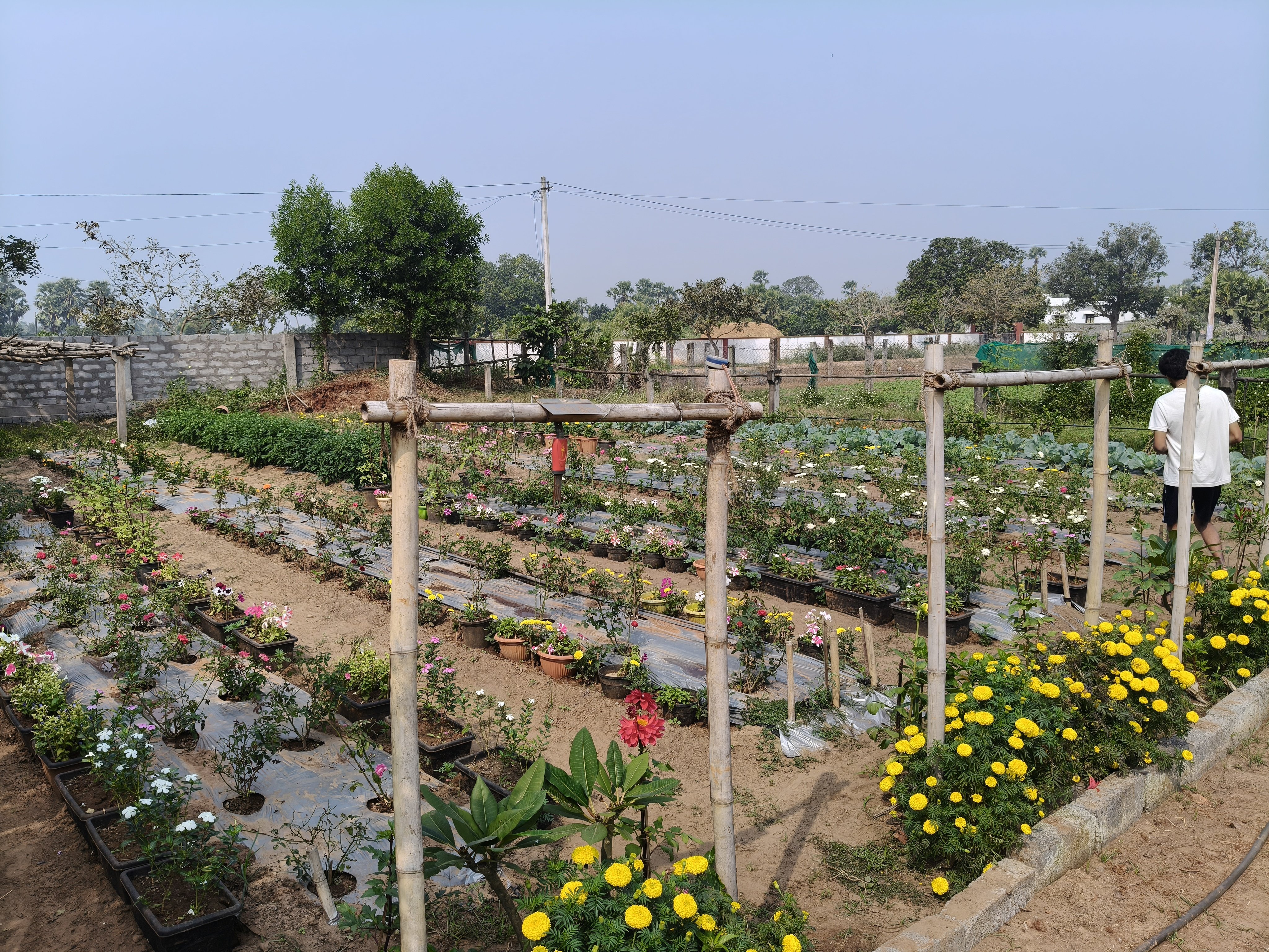 VGC Landscape Project 164