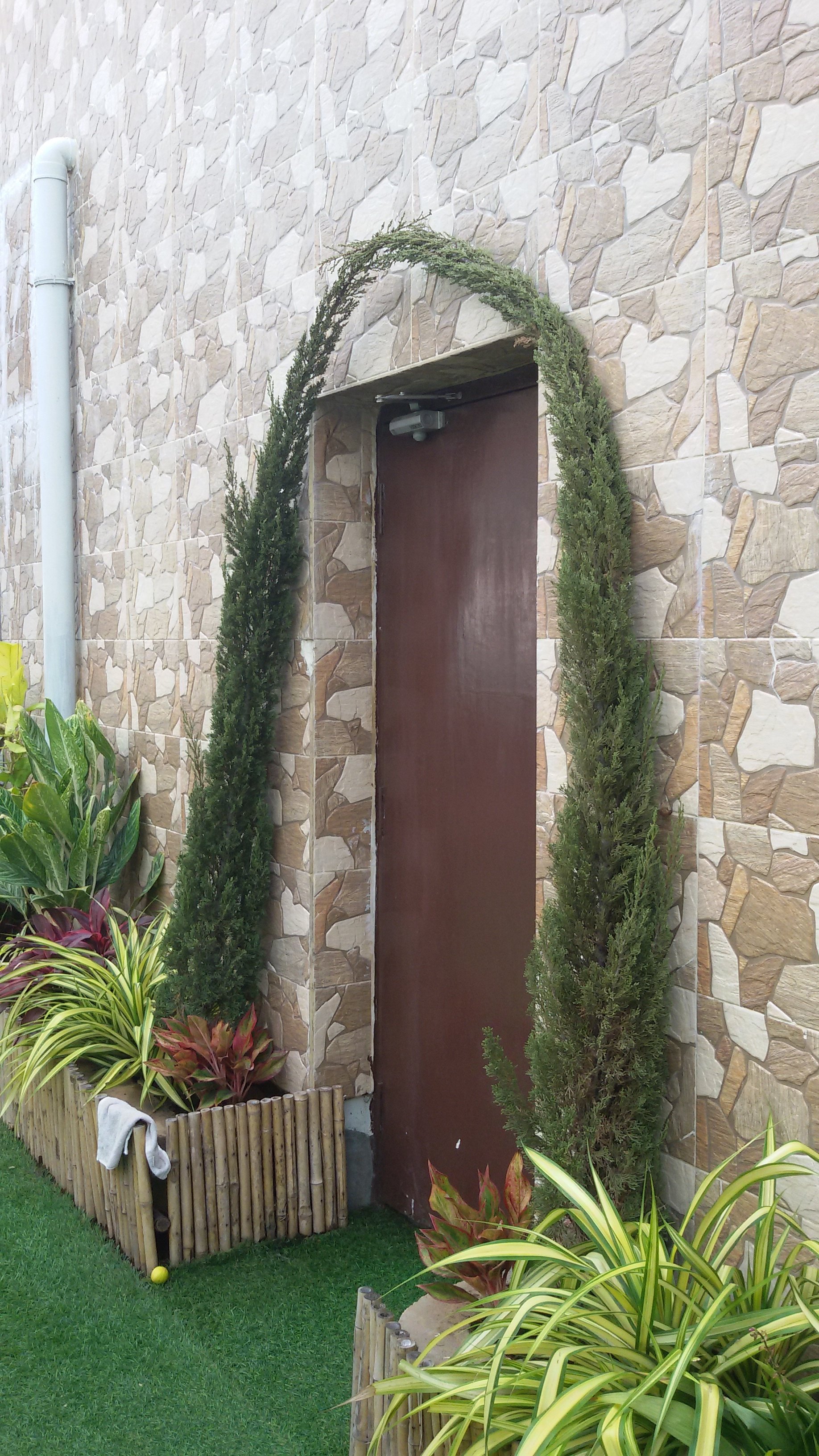 VGC Landscape Project 166