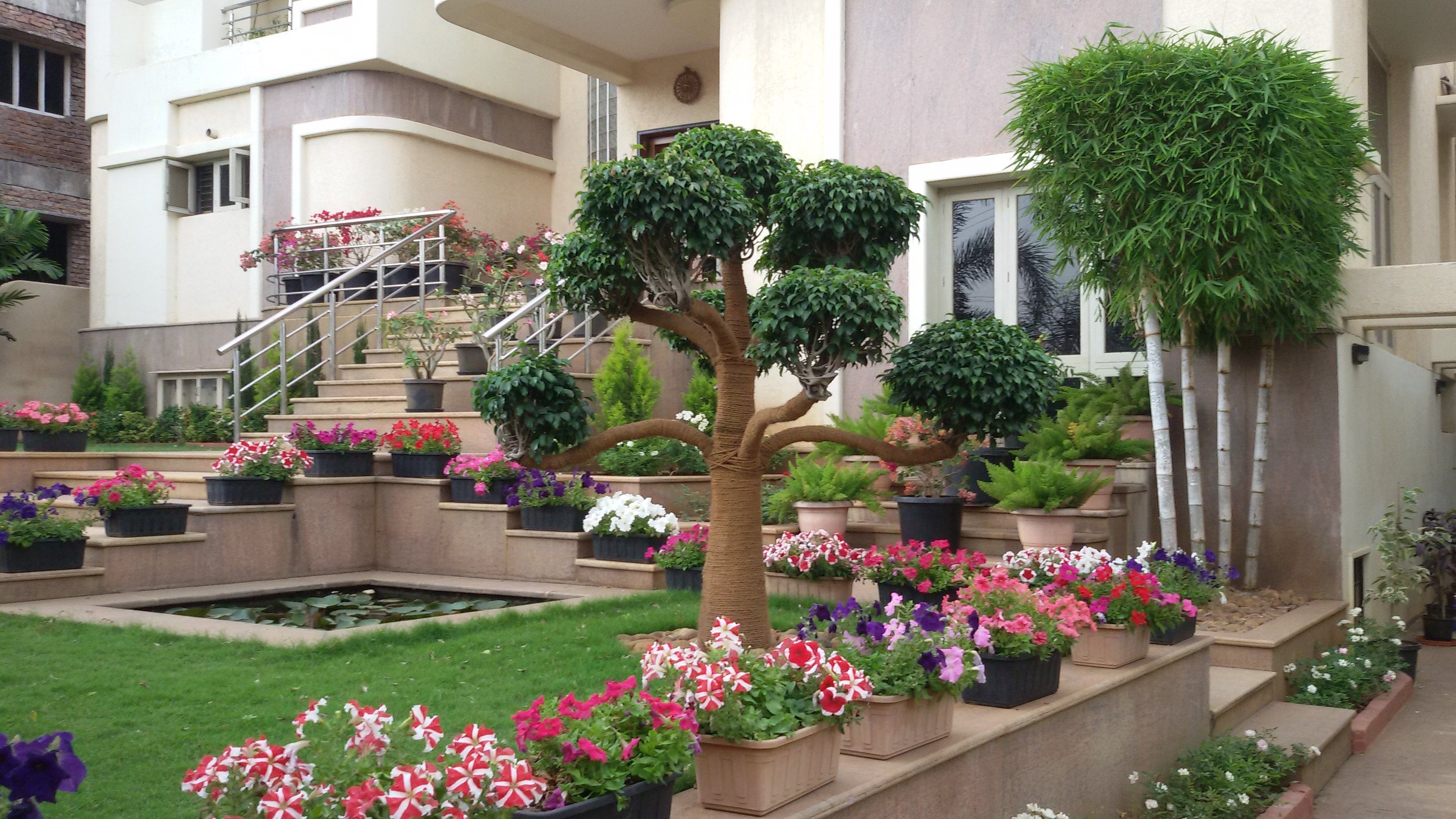 VGC Landscape Project 173